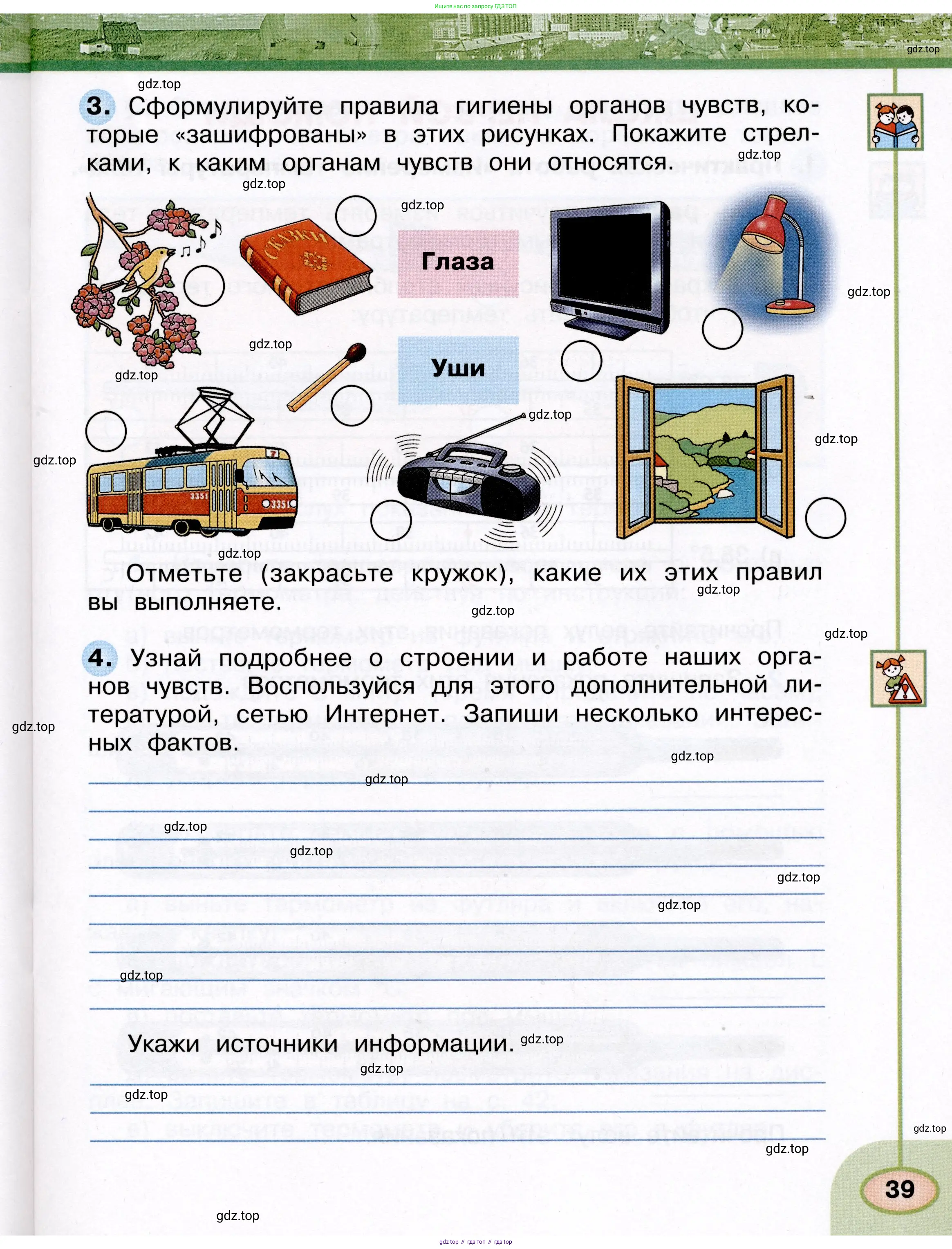 Окружающий мир, 3 класс рабочая тетрадь, авторы: Плешаков Андрей Анатольевич, Новицкая Марина Юрьевна, издательство Просвещение, Москва, 2019, белого цвета, Часть 2, страница 39