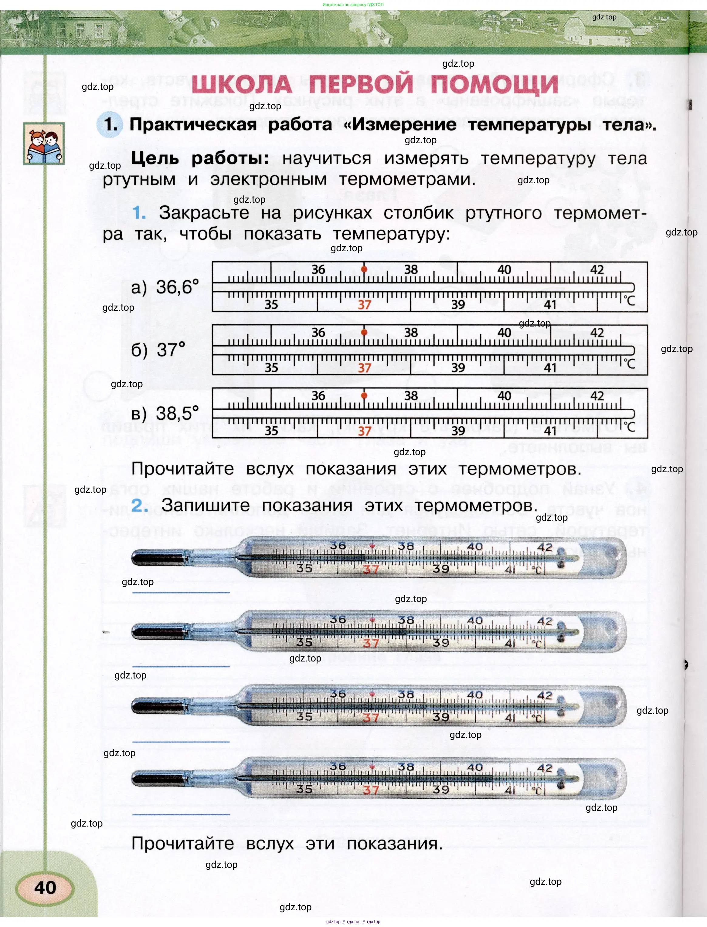 Окружающий мир, 3 класс рабочая тетрадь, авторы: Плешаков Андрей Анатольевич, Новицкая Марина Юрьевна, издательство Просвещение, Москва, 2019, белого цвета, Часть 1, страница 40
