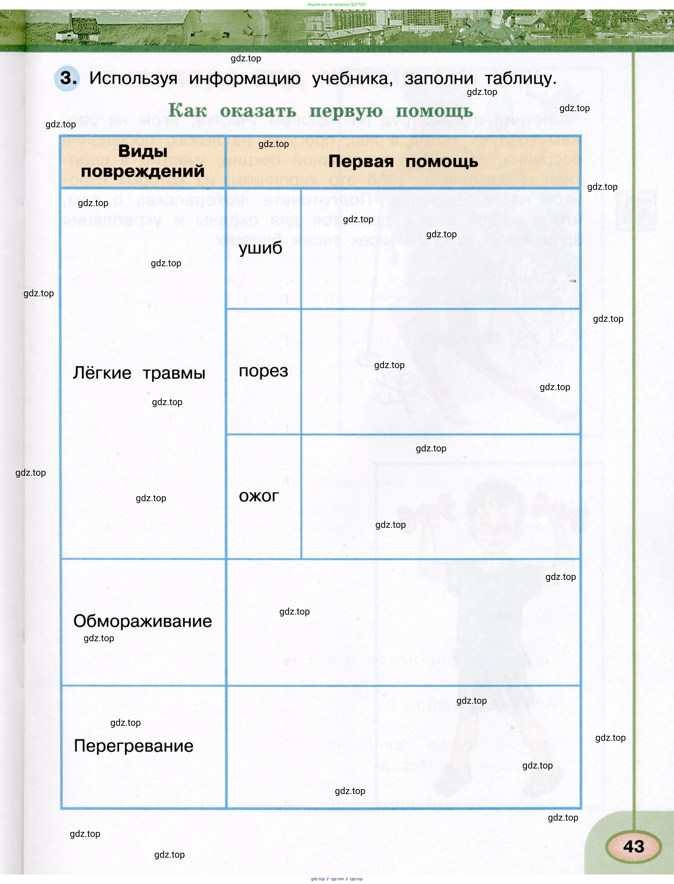 Окружающий мир, 3 класс рабочая тетрадь, авторы: Плешаков Андрей Анатольевич, Новицкая Марина Юрьевна, издательство Просвещение, Москва, 2019, белого цвета, Часть 1, страница 43