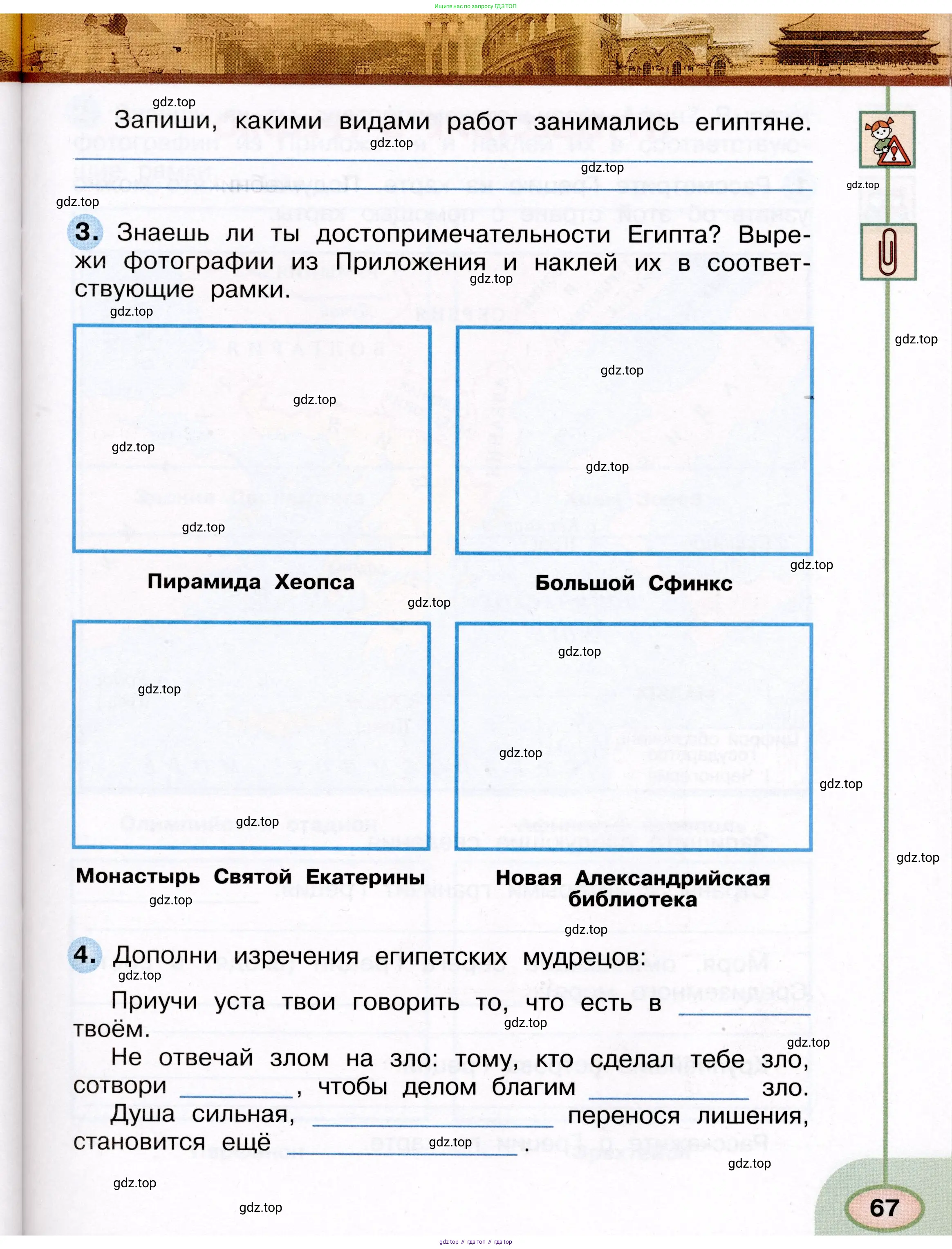 Окружающий мир, 3 класс рабочая тетрадь, авторы: Плешаков Андрей Анатольевич, Новицкая Марина Юрьевна, издательство Просвещение, Москва, 2019, белого цвета, Часть 1, страница 67