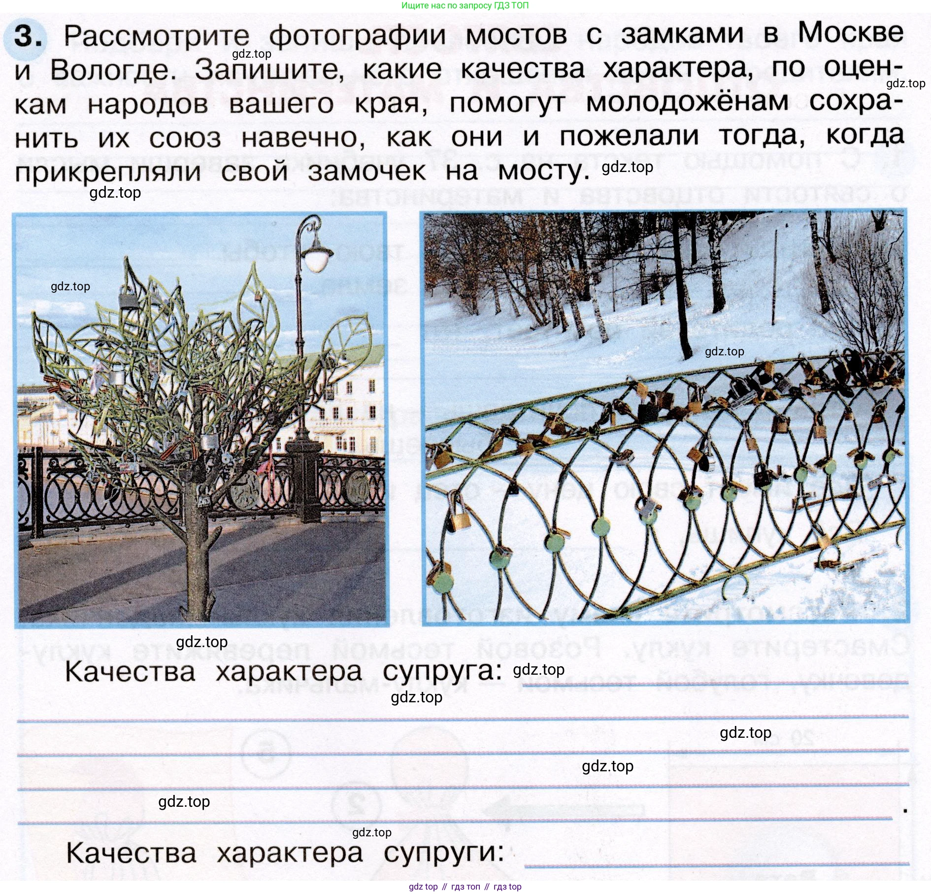 Окружающий мир, 3 класс рабочая тетрадь, авторы: Плешаков Андрей Анатольевич, Новицкая Марина Юрьевна, издательство Просвещение, Москва, 2019, белого цвета, Часть 2, страница 19, номер 3, Условие