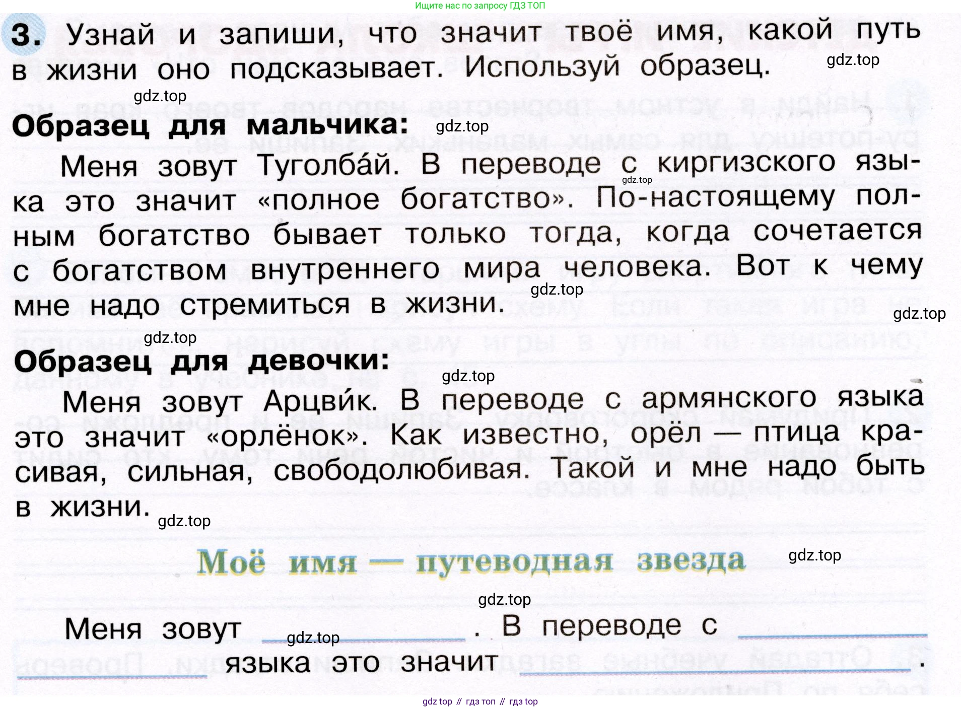 Окружающий мир, 3 класс рабочая тетрадь, авторы: Плешаков Андрей Анатольевич, Новицкая Марина Юрьевна, издательство Просвещение, Москва, 2019, белого цвета, Часть 2, страница 23, номер 3, Условие
