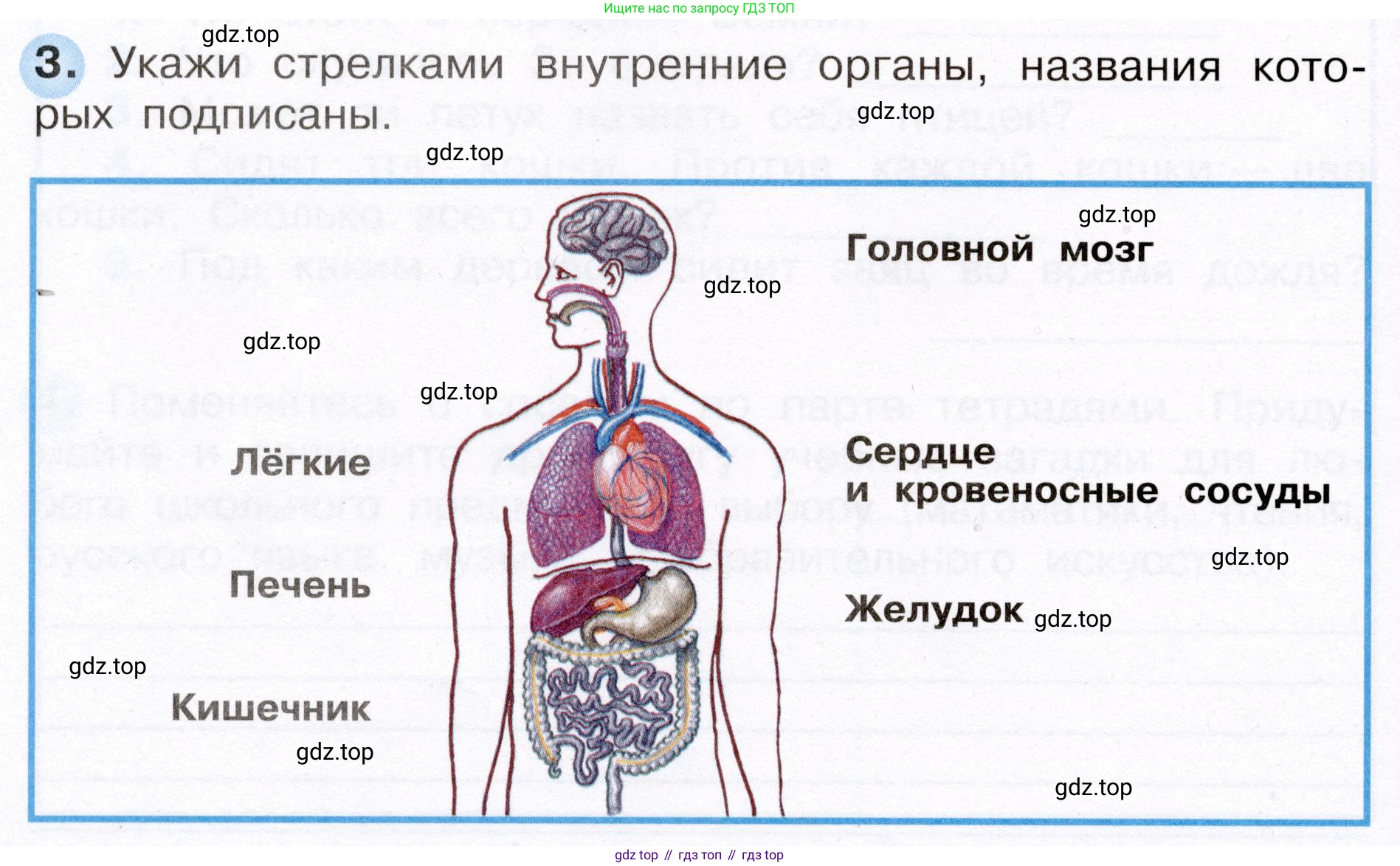 Окружающий мир, 3 класс рабочая тетрадь, авторы: Плешаков Андрей Анатольевич, Новицкая Марина Юрьевна, издательство Просвещение, Москва, 2019, белого цвета, Часть 2, страница 26, номер 3, Условие