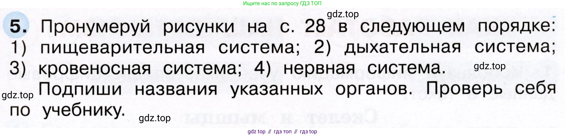 Окружающий мир, 3 класс рабочая тетрадь, авторы: Плешаков Андрей Анатольевич, Новицкая Марина Юрьевна, издательство Просвещение, Москва, 2019, белого цвета, Часть 2, страница 29, номер 5, Условие