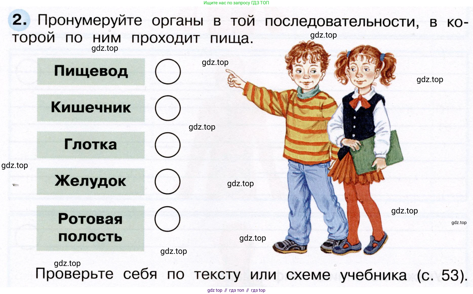 Окружающий мир, 3 класс рабочая тетрадь, авторы: Плешаков Андрей Анатольевич, Новицкая Марина Юрьевна, издательство Просвещение, Москва, 2019, белого цвета, Часть 2, страница 30, номер 2, Условие