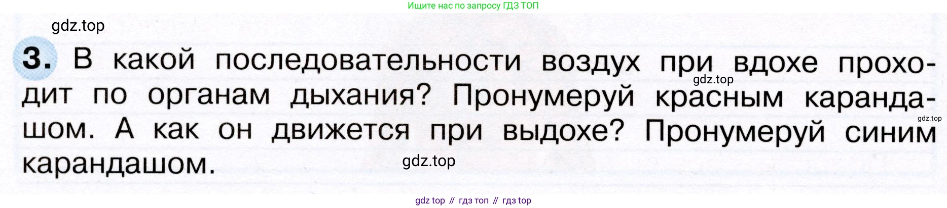 Окружающий мир, 3 класс рабочая тетрадь, авторы: Плешаков Андрей Анатольевич, Новицкая Марина Юрьевна, издательство Просвещение, Москва, 2019, белого цвета, Часть 2, страница 30, номер 3, Условие
