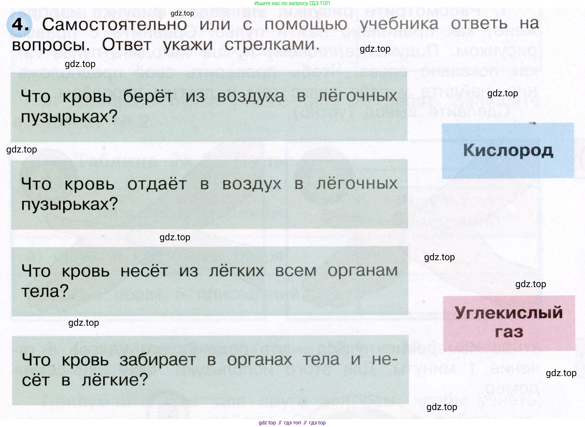Окружающий мир, 3 класс рабочая тетрадь, авторы: Плешаков Андрей Анатольевич, Новицкая Марина Юрьевна, издательство Просвещение, Москва, 2019, белого цвета, Часть 2, страница 31, номер 4, Условие