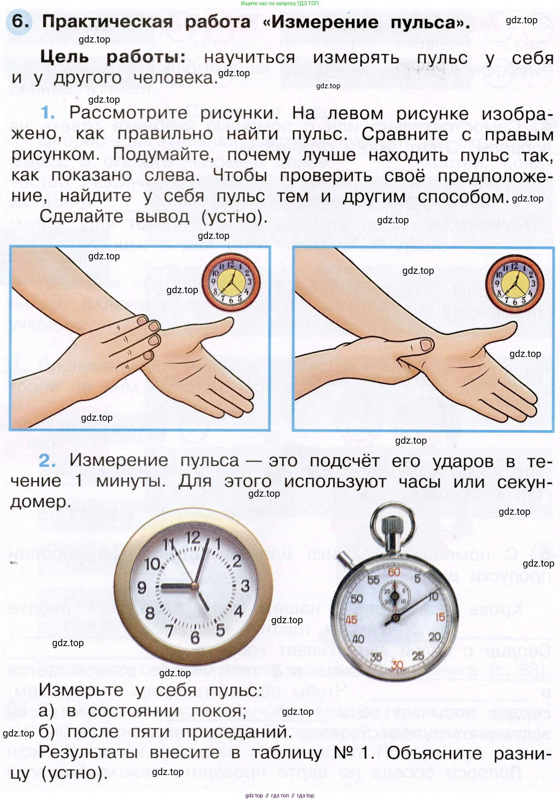 Окружающий мир, 3 класс рабочая тетрадь, авторы: Плешаков Андрей Анатольевич, Новицкая Марина Юрьевна, издательство Просвещение, Москва, 2019, белого цвета, Часть 2, страница 32, номер 6, Условие