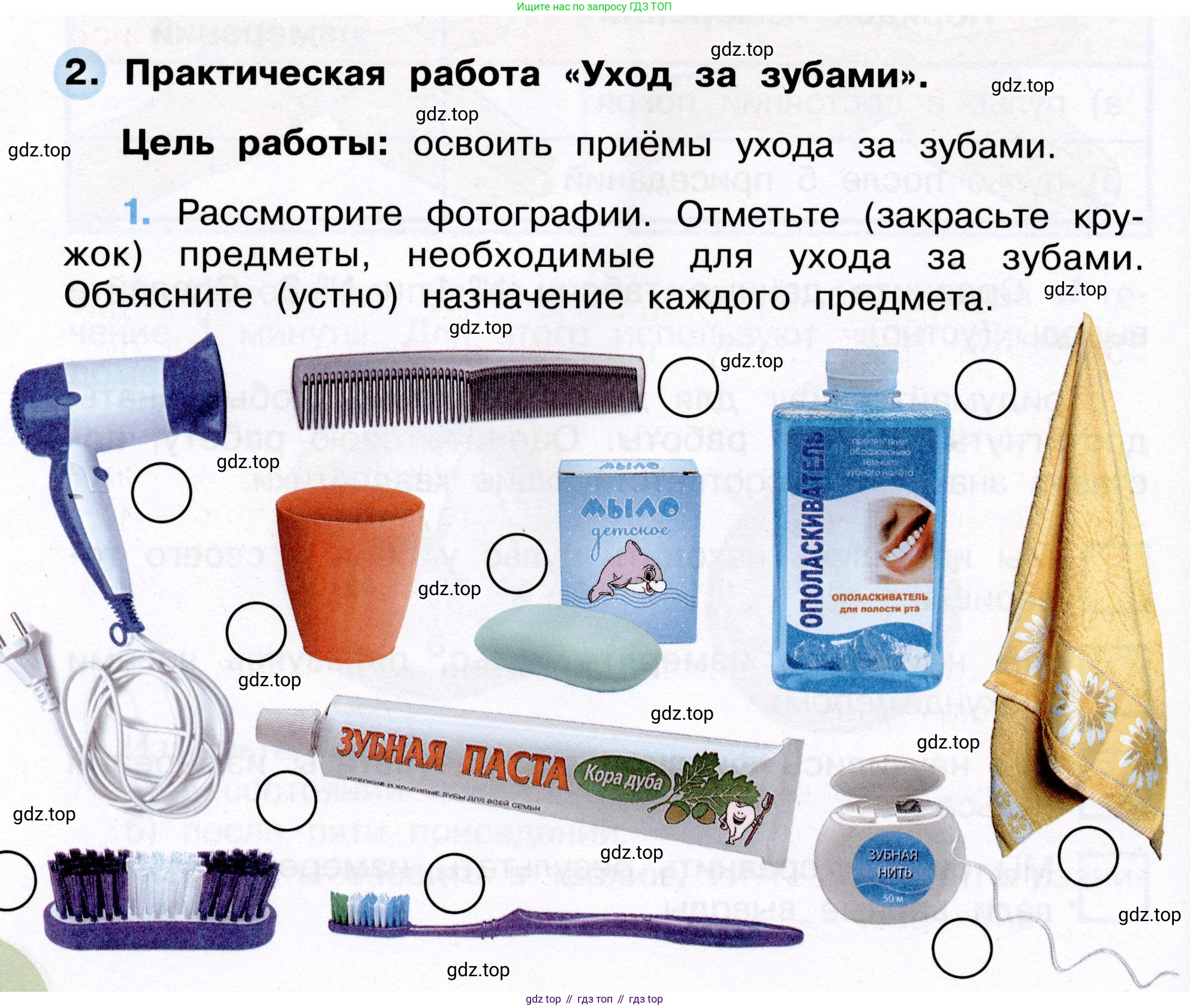 Окружающий мир, 3 класс рабочая тетрадь, авторы: Плешаков Андрей Анатольевич, Новицкая Марина Юрьевна, издательство Просвещение, Москва, 2019, белого цвета, Часть 2, страница 34, номер 2, Условие