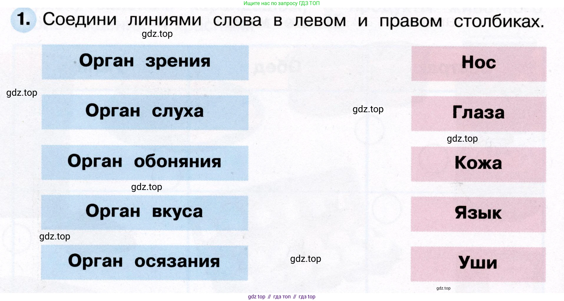 Окружающий мир, 3 класс рабочая тетрадь, авторы: Плешаков Андрей Анатольевич, Новицкая Марина Юрьевна, издательство Просвещение, Москва, 2019, белого цвета, Часть 2, страница 38, номер 1, Условие