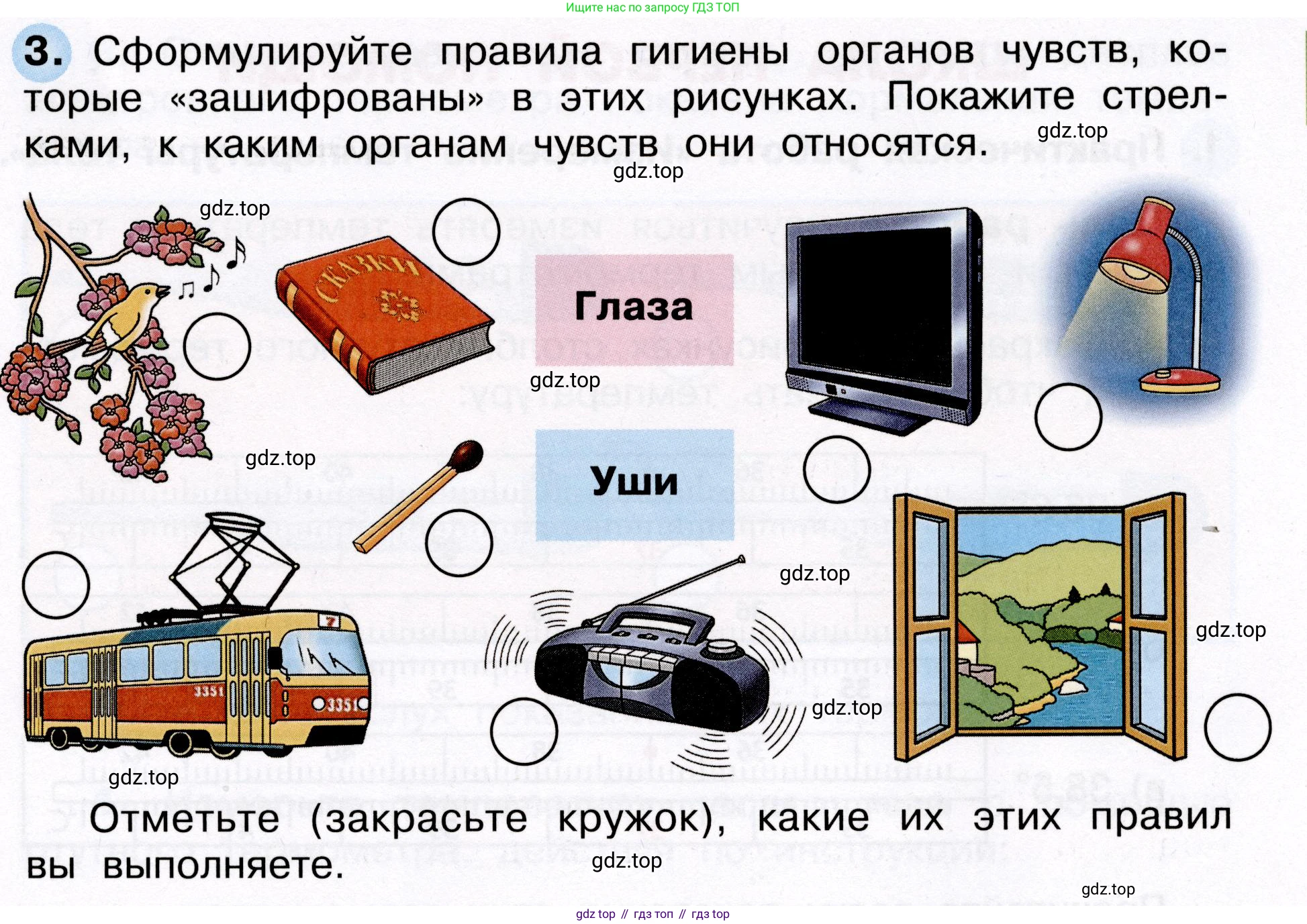 Окружающий мир, 3 класс рабочая тетрадь, авторы: Плешаков Андрей Анатольевич, Новицкая Марина Юрьевна, издательство Просвещение, Москва, 2019, белого цвета, Часть 2, страница 39, номер 3, Условие