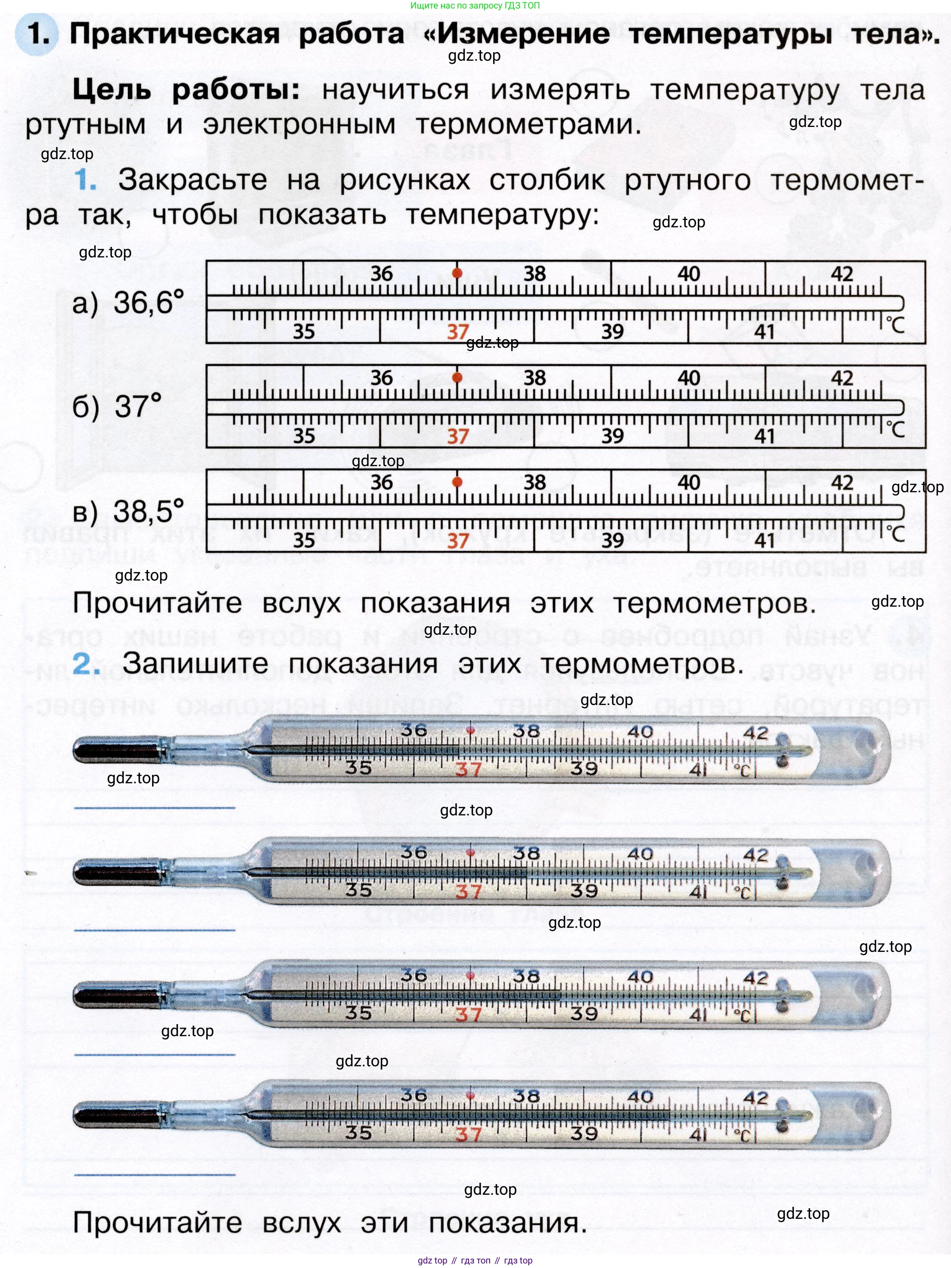 Окружающий мир, 3 класс рабочая тетрадь, авторы: Плешаков Андрей Анатольевич, Новицкая Марина Юрьевна, издательство Просвещение, Москва, 2019, белого цвета, Часть 2, страница 40, номер 1, Условие