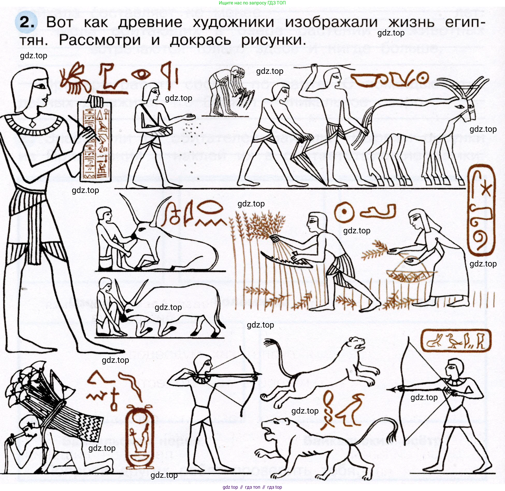 Окружающий мир, 3 класс рабочая тетрадь, авторы: Плешаков Андрей Анатольевич, Новицкая Марина Юрьевна, издательство Просвещение, Москва, 2019, белого цвета, Часть 2, страница 66, номер 2, Условие