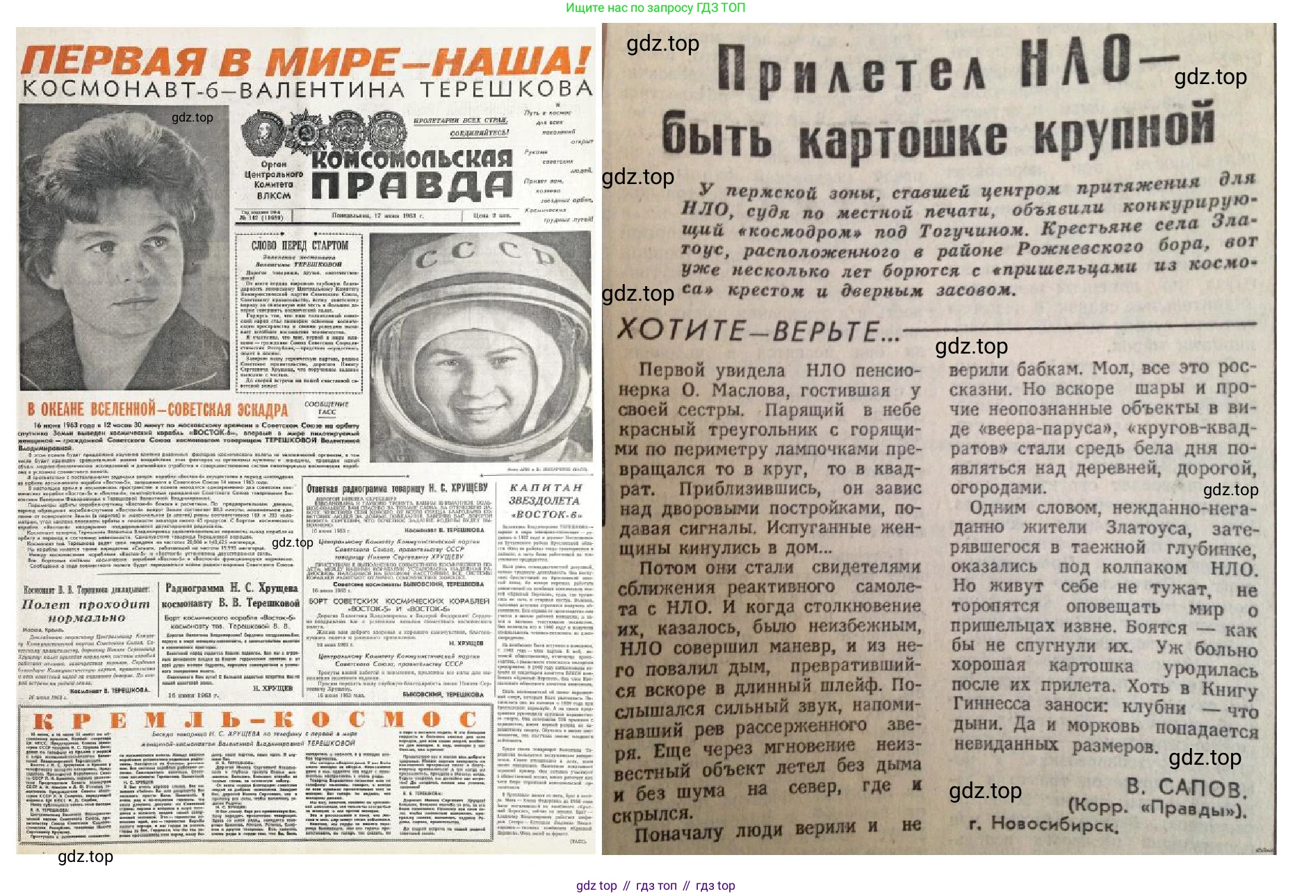 Окружающий мир, 3 класс рабочая тетрадь, авторы: Плешаков Андрей Анатольевич, Новицкая Марина Юрьевна, издательство Просвещение, Москва, 2019, белого цвета, Часть 1, страница 33, номер 3, Решение