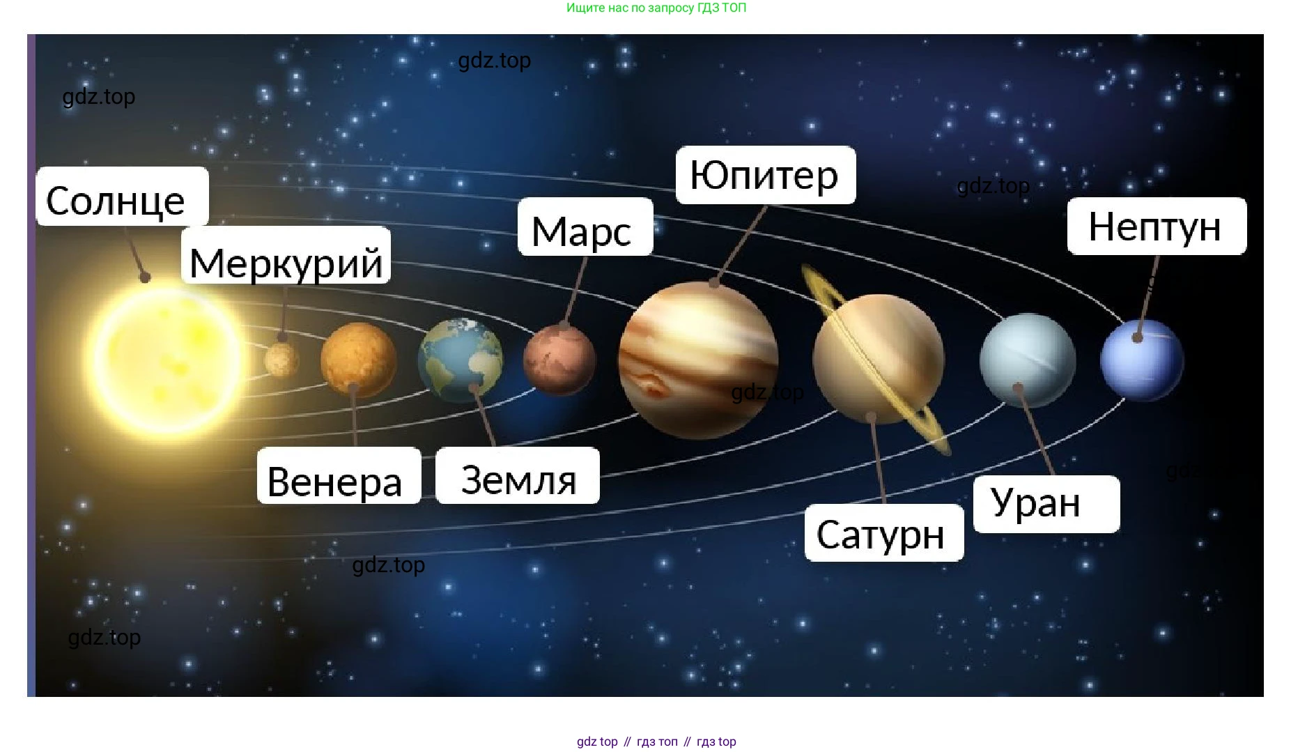 Окружающий мир, 3 класс рабочая тетрадь, авторы: Плешаков Андрей Анатольевич, Новицкая Марина Юрьевна, издательство Просвещение, Москва, 2019, белого цвета, Часть 1, страница 40, номер 3, Решение