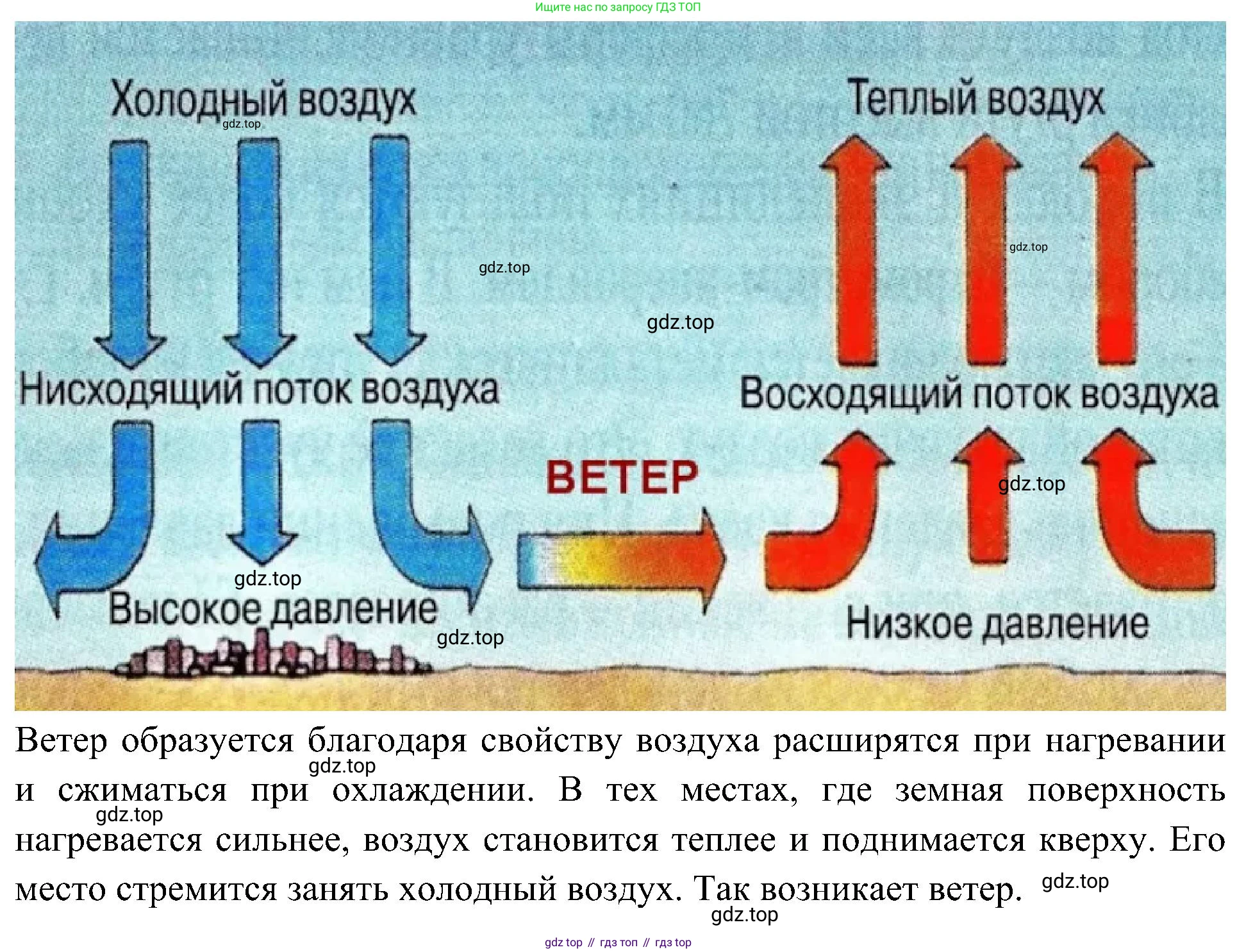 Окружающий мир, 3 класс рабочая тетрадь, авторы: Плешаков Андрей Анатольевич, Новицкая Марина Юрьевна, издательство Просвещение, Москва, 2019, белого цвета, Часть 1, страница 42, номер 1, Решение