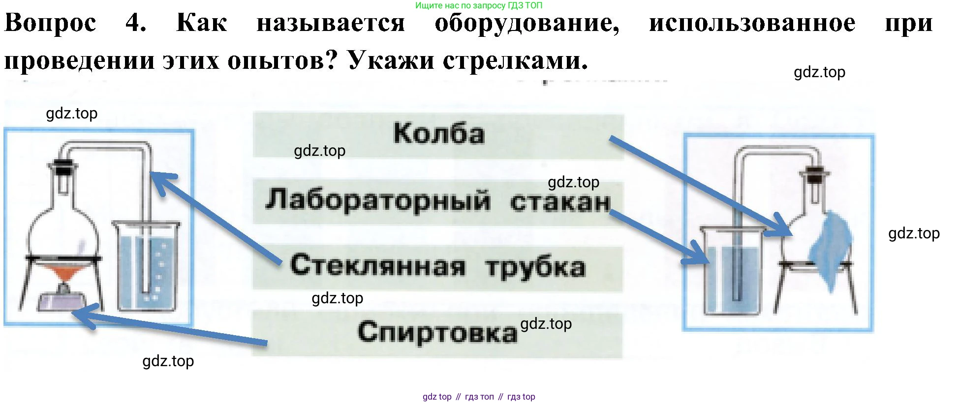 Окружающий мир, 3 класс рабочая тетрадь, авторы: Плешаков Андрей Анатольевич, Новицкая Марина Юрьевна, издательство Просвещение, Москва, 2019, белого цвета, Часть 1, страница 43, номер 4, Решение