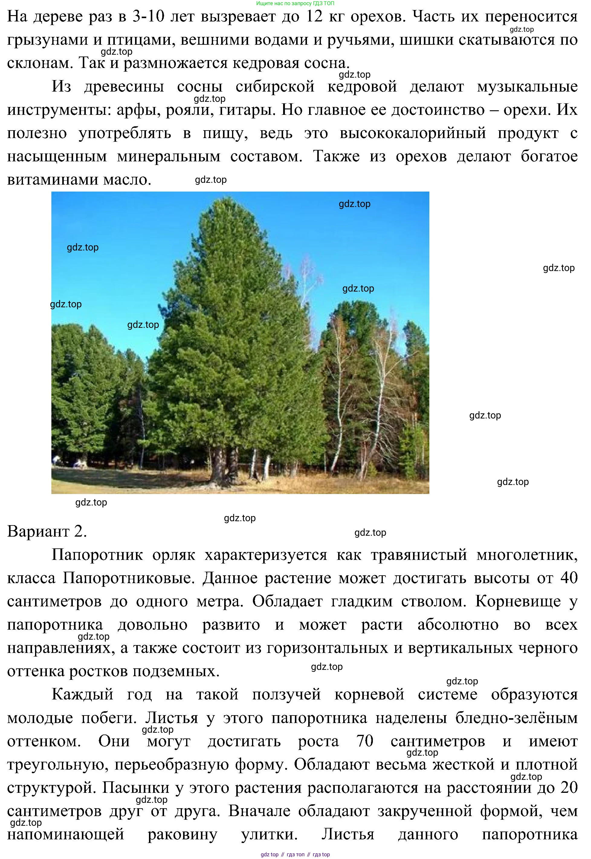 Окружающий мир, 3 класс рабочая тетрадь, авторы: Плешаков Андрей Анатольевич, Новицкая Марина Юрьевна, издательство Просвещение, Москва, 2019, белого цвета, Часть 1, страница 53, номер 4, Решение (продолжение 2)