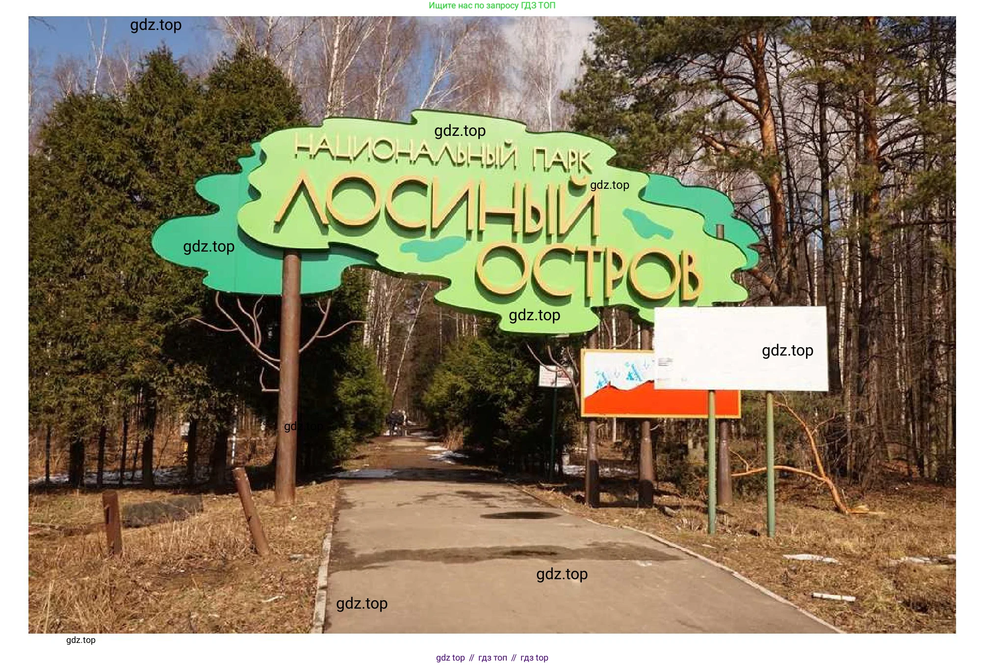 Окружающий мир, 3 класс рабочая тетрадь, авторы: Плешаков Андрей Анатольевич, Новицкая Марина Юрьевна, издательство Просвещение, Москва, 2019, белого цвета, Часть 1, страница 54, Решение (продолжение 3)