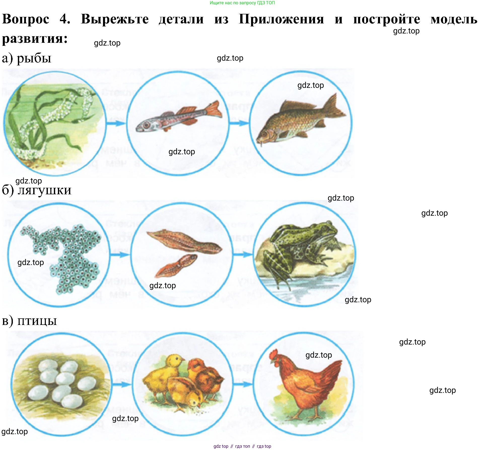 Окружающий мир, 3 класс рабочая тетрадь, авторы: Плешаков Андрей Анатольевич, Новицкая Марина Юрьевна, издательство Просвещение, Москва, 2019, белого цвета, Часть 1, страница 60, номер 4, Решение