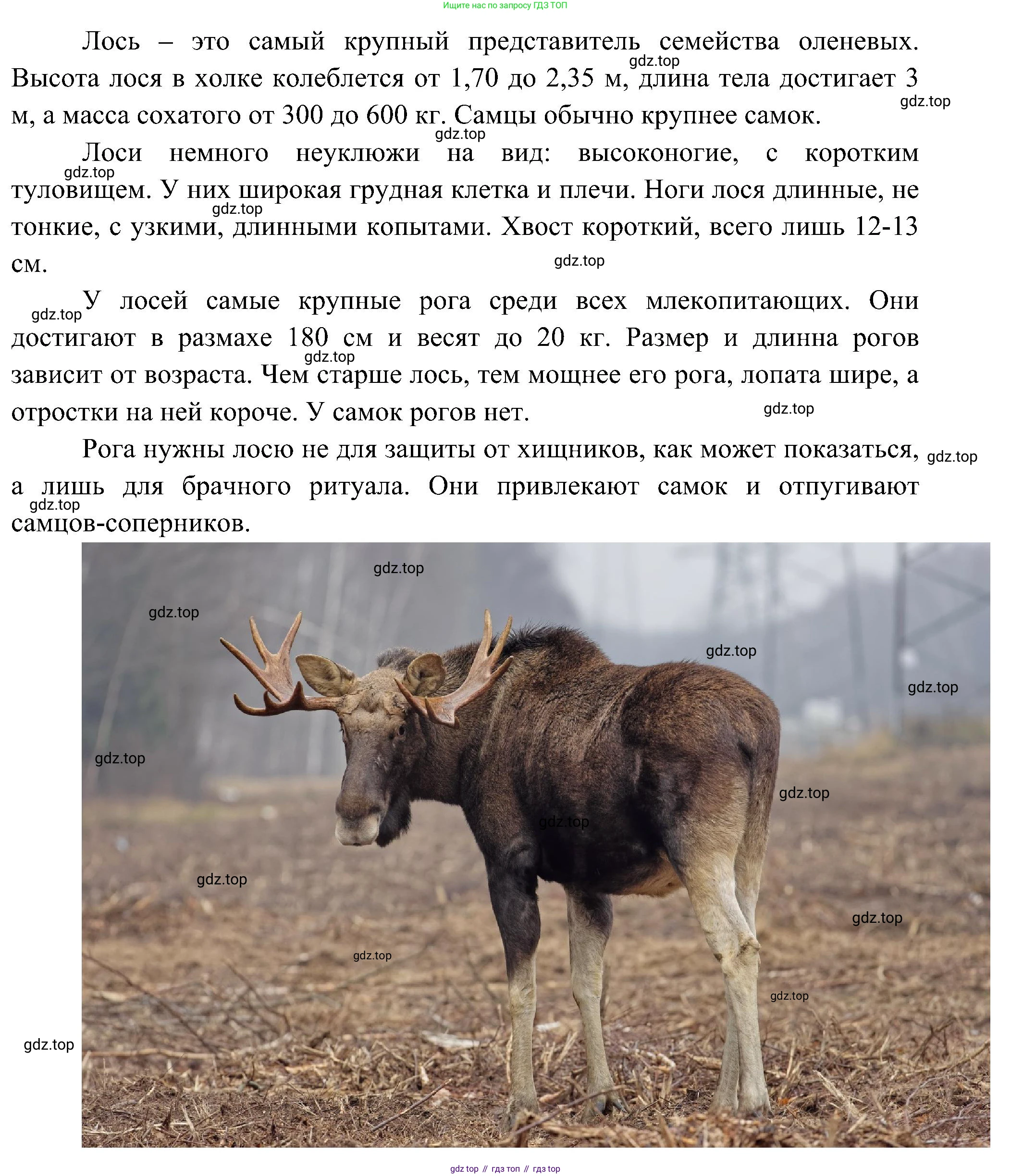 Окружающий мир, 3 класс рабочая тетрадь, авторы: Плешаков Андрей Анатольевич, Новицкая Марина Юрьевна, издательство Просвещение, Москва, 2019, белого цвета, Часть 1, страница 61, номер 6, Решение (продолжение 2)