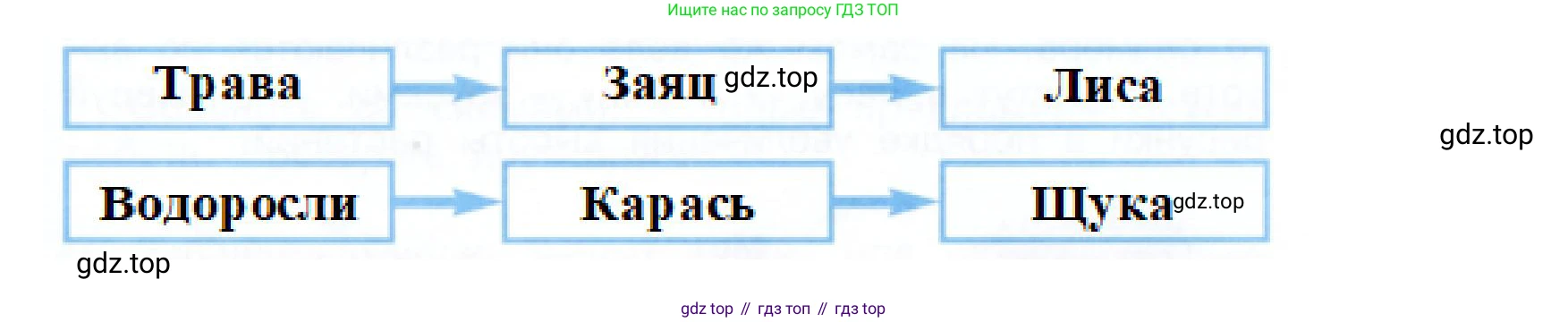 Окружающий мир, 3 класс рабочая тетрадь, авторы: Плешаков Андрей Анатольевич, Новицкая Марина Юрьевна, издательство Просвещение, Москва, 2019, белого цвета, Часть 1, страница 67, номер 4, Решение