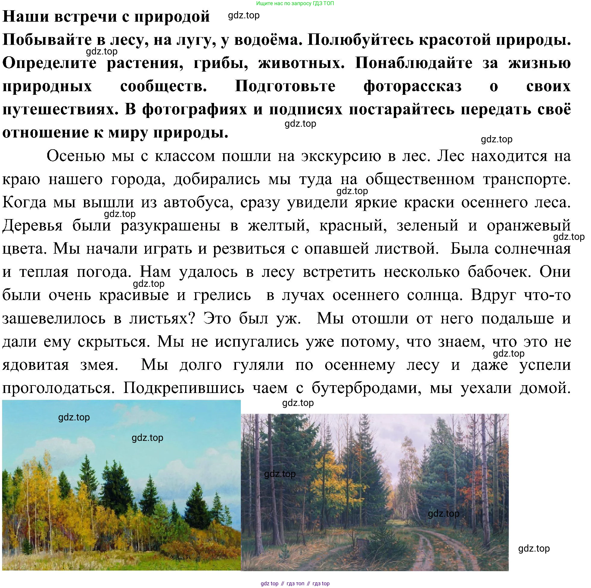 Окружающий мир, 3 класс рабочая тетрадь, авторы: Плешаков Андрей Анатольевич, Новицкая Марина Юрьевна, издательство Просвещение, Москва, 2019, белого цвета, Часть 1, страница 78, Решение