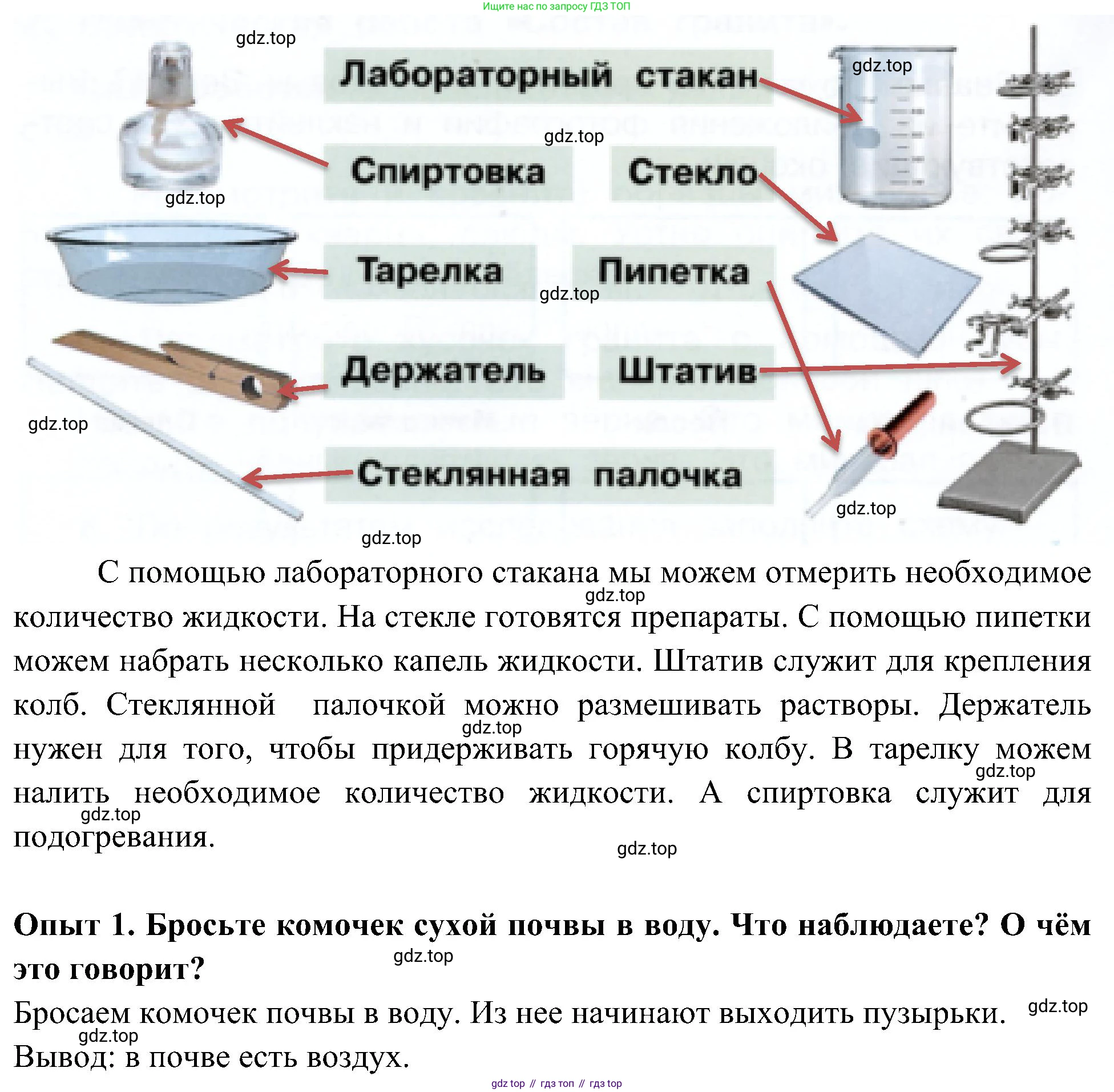 Окружающий мир, 3 класс рабочая тетрадь, авторы: Плешаков Андрей Анатольевич, Новицкая Марина Юрьевна, издательство Просвещение, Москва, 2019, белого цвета, Часть 1, страница 50, номер 1, Решение