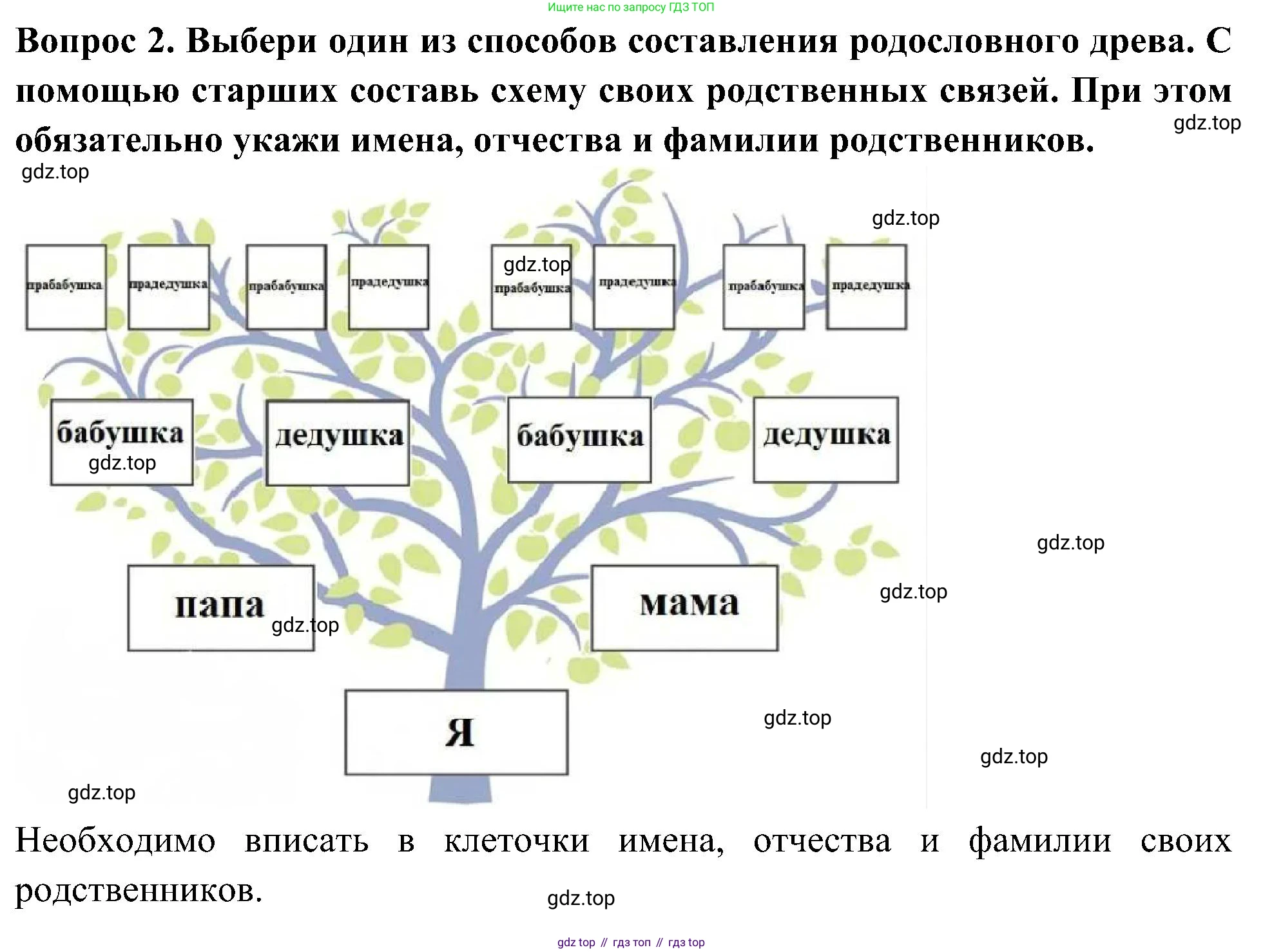 Окружающий мир, 3 класс рабочая тетрадь, авторы: Плешаков Андрей Анатольевич, Новицкая Марина Юрьевна, издательство Просвещение, Москва, 2019, белого цвета, Часть 2, страница 17, номер 2, Решение