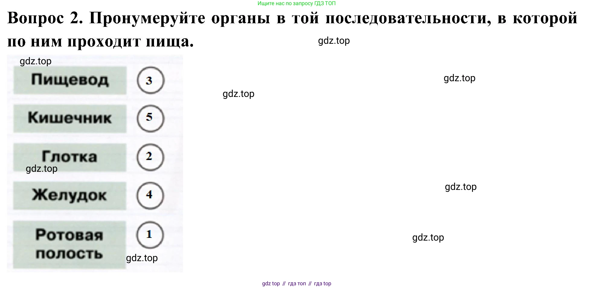 Окружающий мир, 3 класс рабочая тетрадь, авторы: Плешаков Андрей Анатольевич, Новицкая Марина Юрьевна, издательство Просвещение, Москва, 2019, белого цвета, Часть 2, страница 30, номер 2, Решение