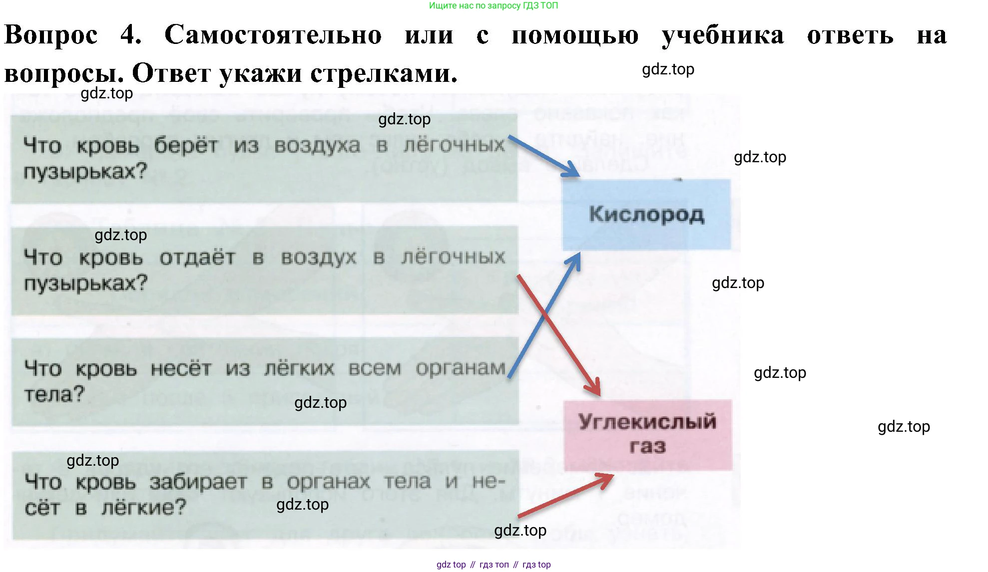 Окружающий мир, 3 класс рабочая тетрадь, авторы: Плешаков Андрей Анатольевич, Новицкая Марина Юрьевна, издательство Просвещение, Москва, 2019, белого цвета, Часть 2, страница 31, номер 4, Решение
