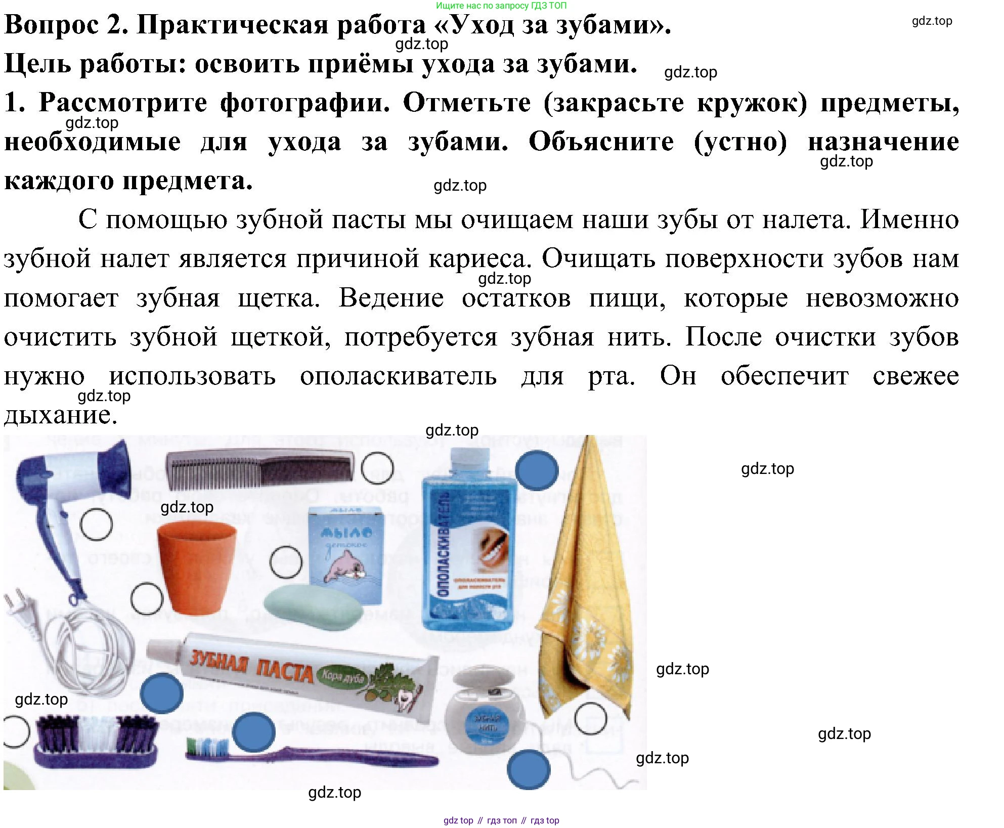Окружающий мир, 3 класс рабочая тетрадь, авторы: Плешаков Андрей Анатольевич, Новицкая Марина Юрьевна, издательство Просвещение, Москва, 2019, белого цвета, Часть 2, страница 34, номер 2, Решение