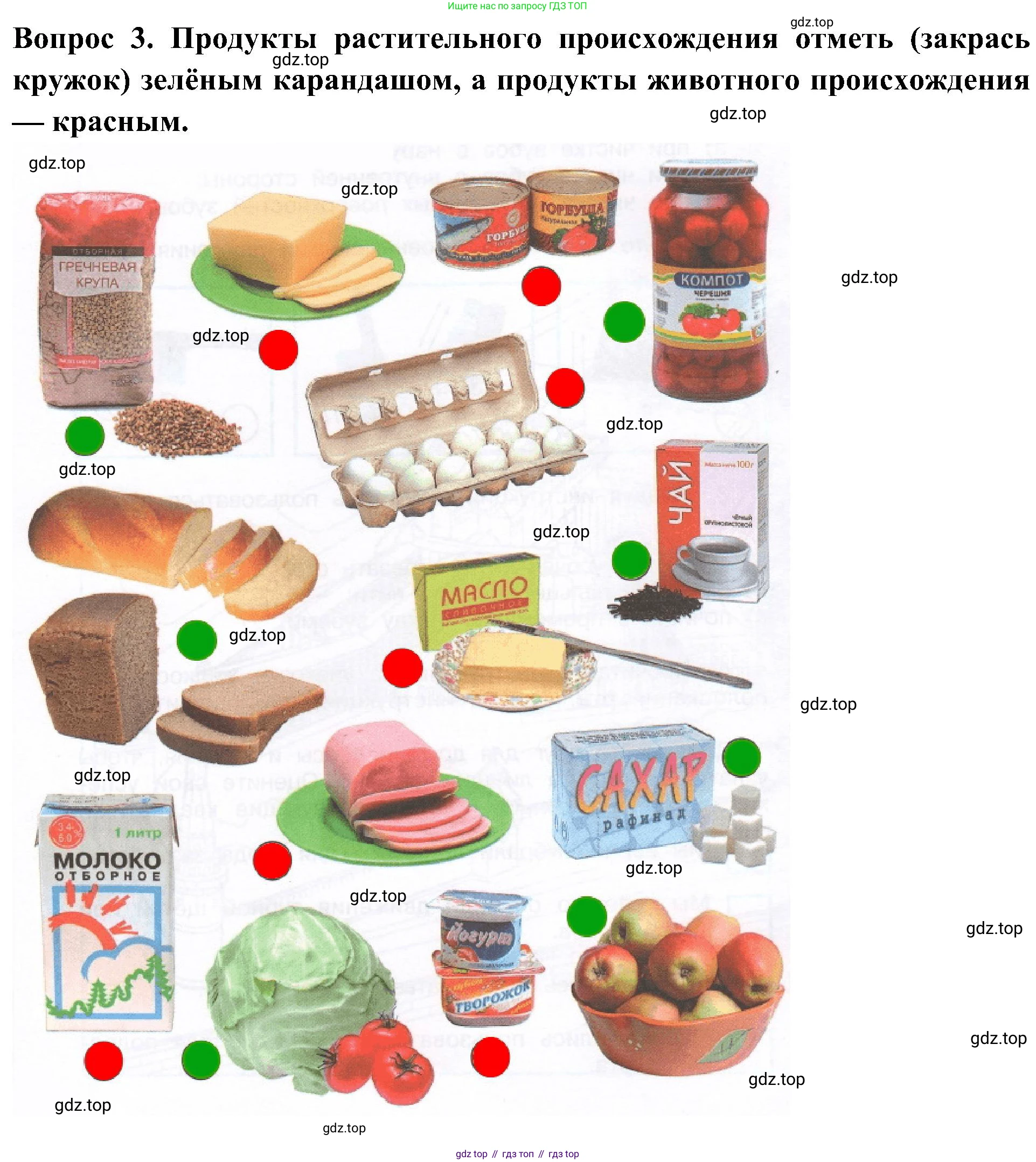 Окружающий мир, 3 класс рабочая тетрадь, авторы: Плешаков Андрей Анатольевич, Новицкая Марина Юрьевна, издательство Просвещение, Москва, 2019, белого цвета, Часть 2, страница 36, номер 3, Решение