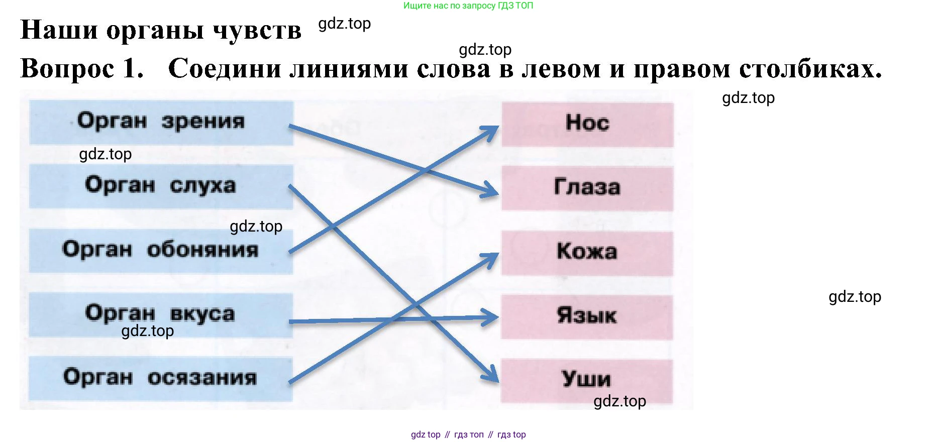 Окружающий мир, 3 класс рабочая тетрадь, авторы: Плешаков Андрей Анатольевич, Новицкая Марина Юрьевна, издательство Просвещение, Москва, 2019, белого цвета, Часть 2, страница 38, номер 1, Решение