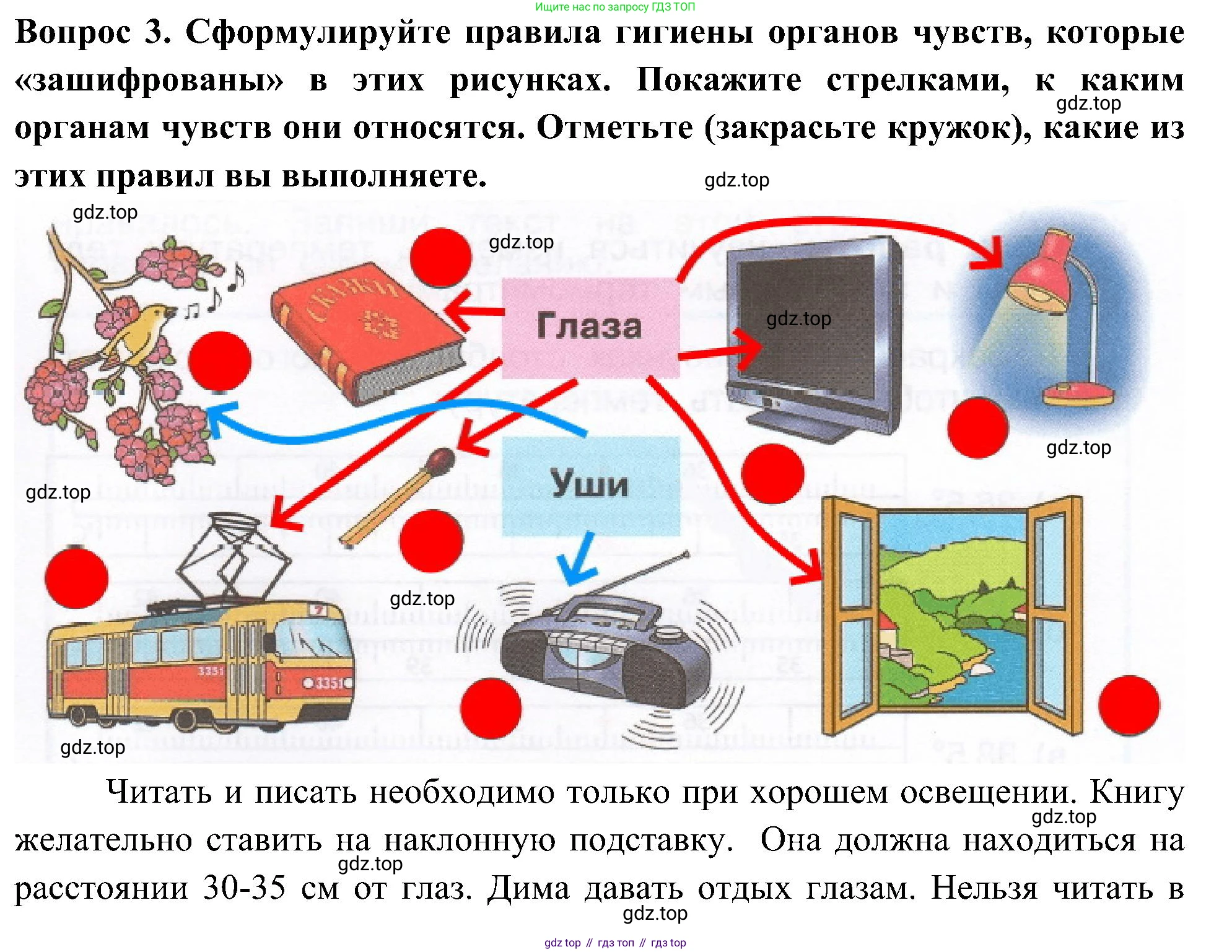Окружающий мир, 3 класс рабочая тетрадь, авторы: Плешаков Андрей Анатольевич, Новицкая Марина Юрьевна, издательство Просвещение, Москва, 2019, белого цвета, Часть 2, страница 39, номер 3, Решение