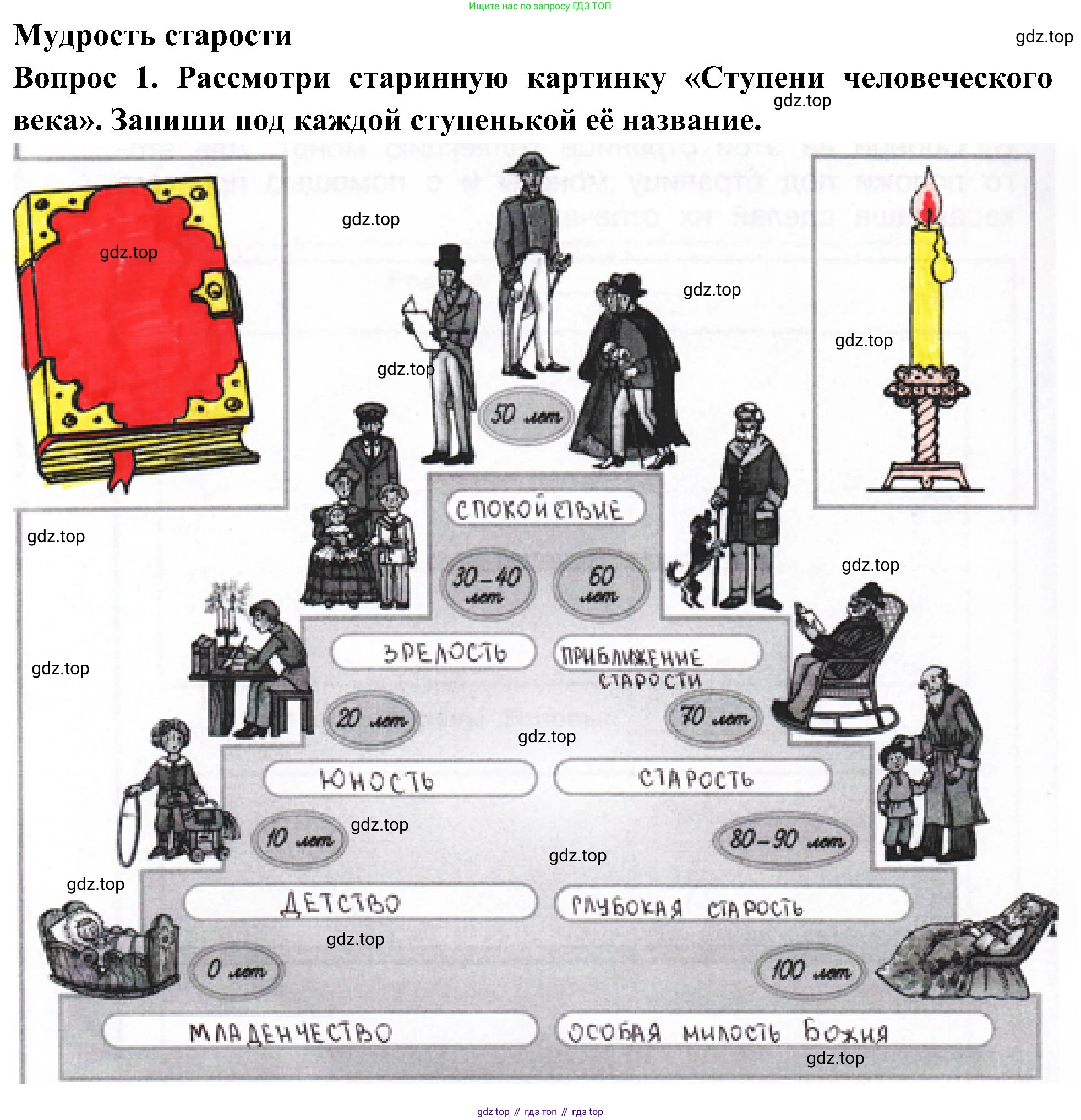 Окружающий мир, 3 класс рабочая тетрадь, авторы: Плешаков Андрей Анатольевич, Новицкая Марина Юрьевна, издательство Просвещение, Москва, 2019, белого цвета, Часть 2, страница 54, номер 1, Решение