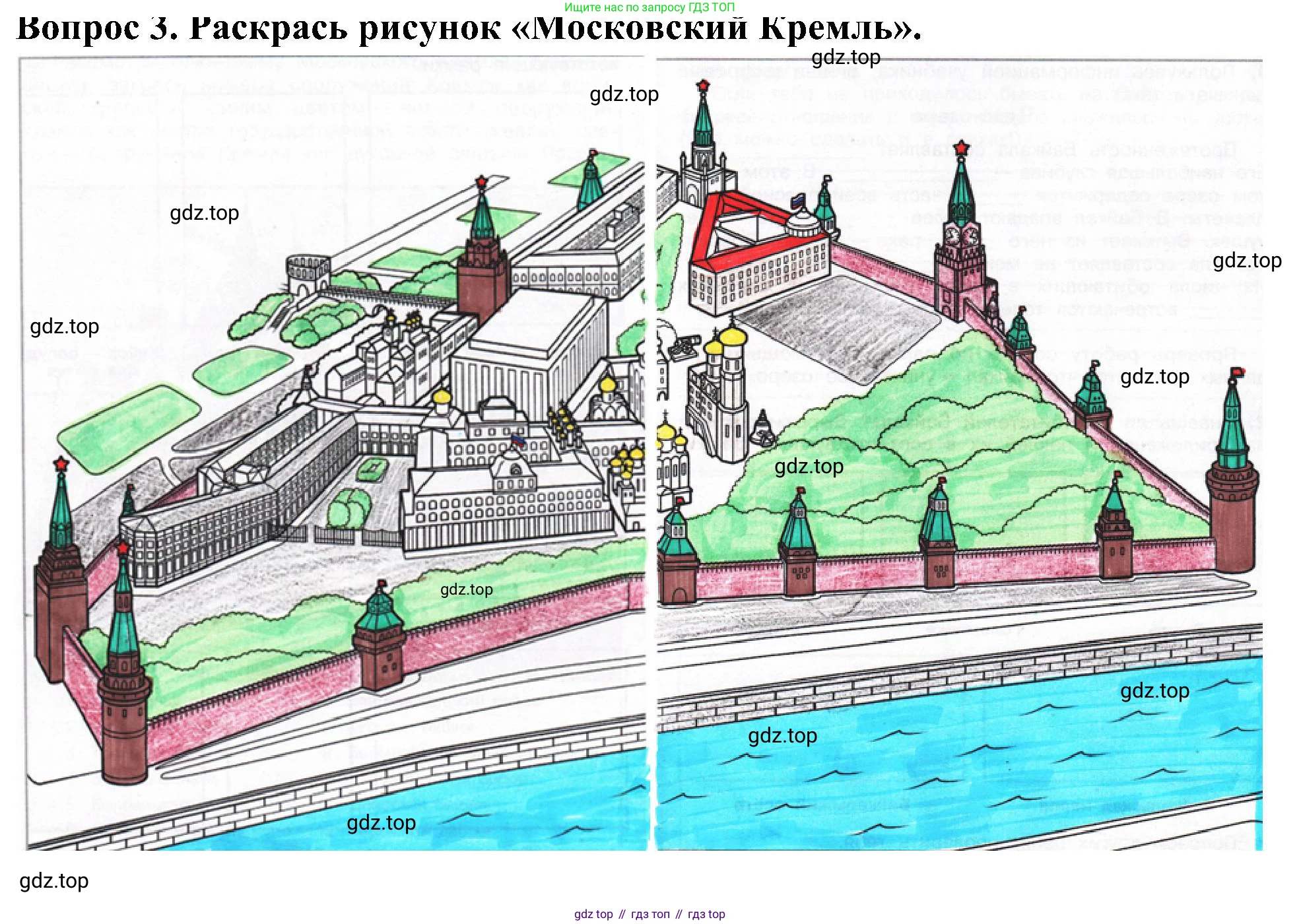 Окружающий мир, 3 класс рабочая тетрадь, авторы: Плешаков Андрей Анатольевич, Новицкая Марина Юрьевна, издательство Просвещение, Москва, 2019, белого цвета, Часть 2, страница 62, номер 3, Решение