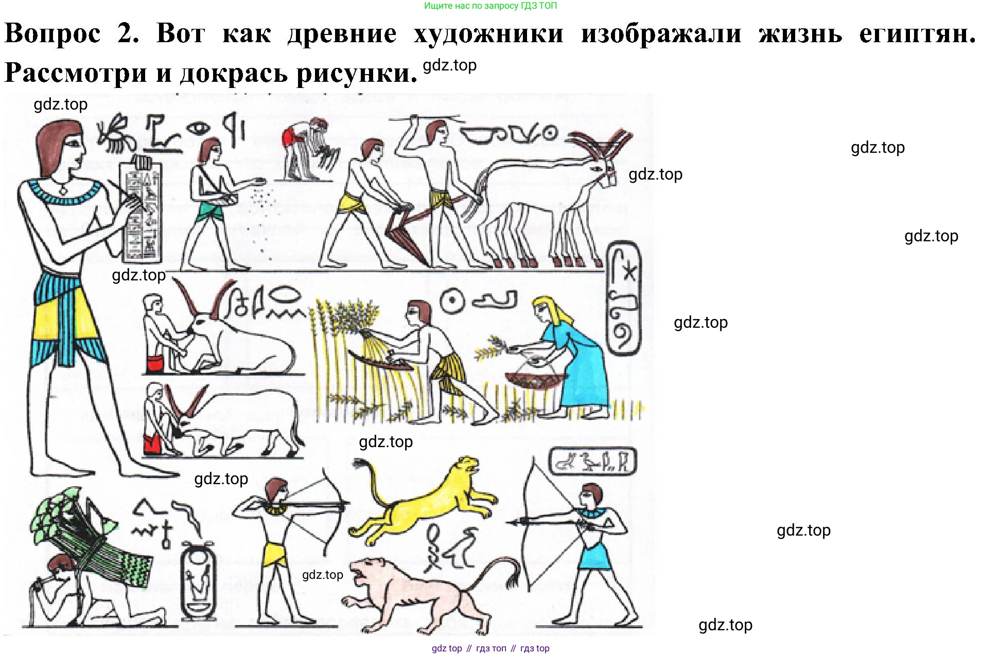 Окружающий мир, 3 класс рабочая тетрадь, авторы: Плешаков Андрей Анатольевич, Новицкая Марина Юрьевна, издательство Просвещение, Москва, 2019, белого цвета, Часть 2, страница 66, номер 2, Решение
