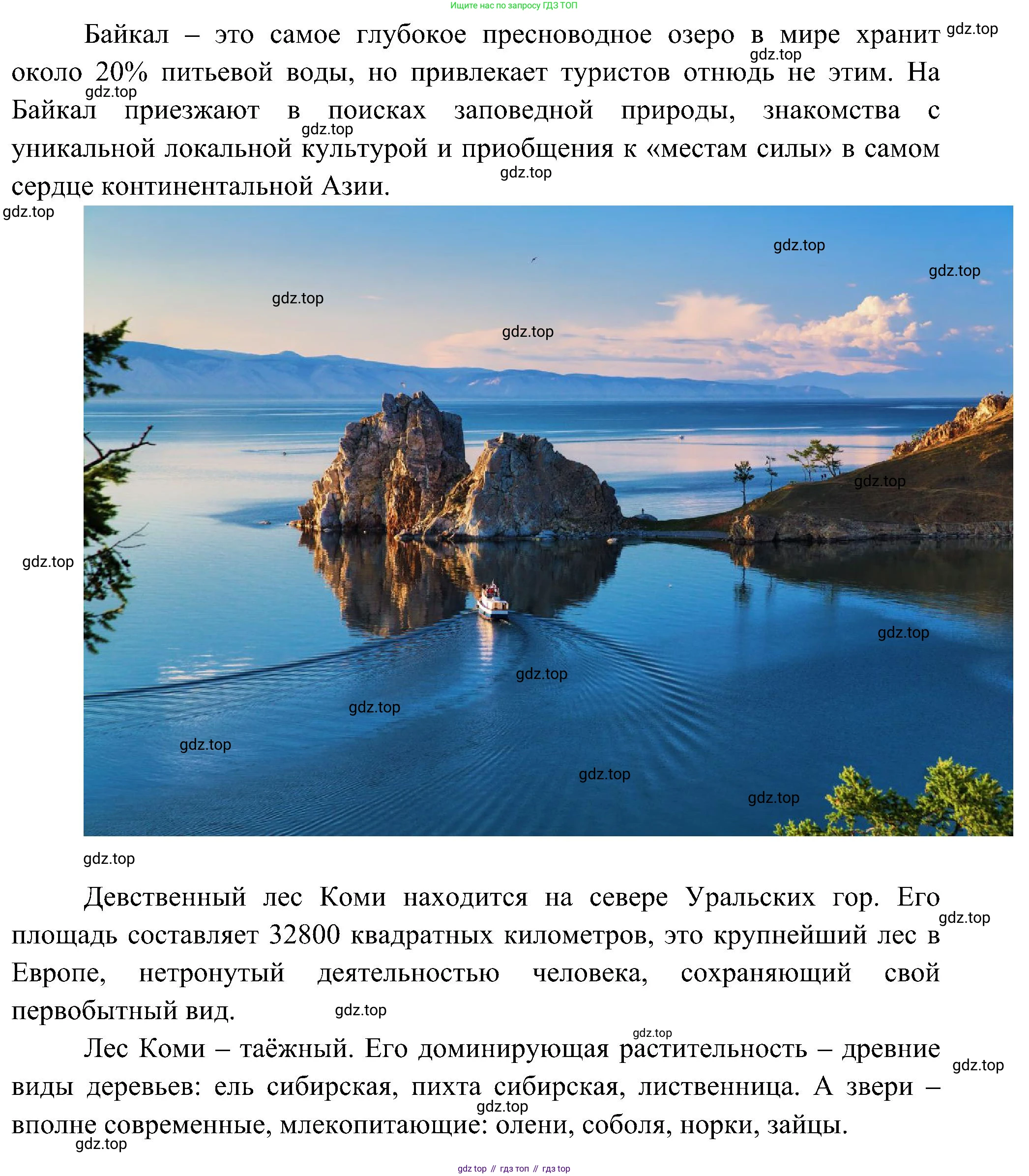 Окружающий мир, 3 класс рабочая тетрадь, авторы: Плешаков Андрей Анатольевич, Новицкая Марина Юрьевна, издательство Просвещение, Москва, 2019, белого цвета, Часть 2, страница 80, Решение (продолжение 2)