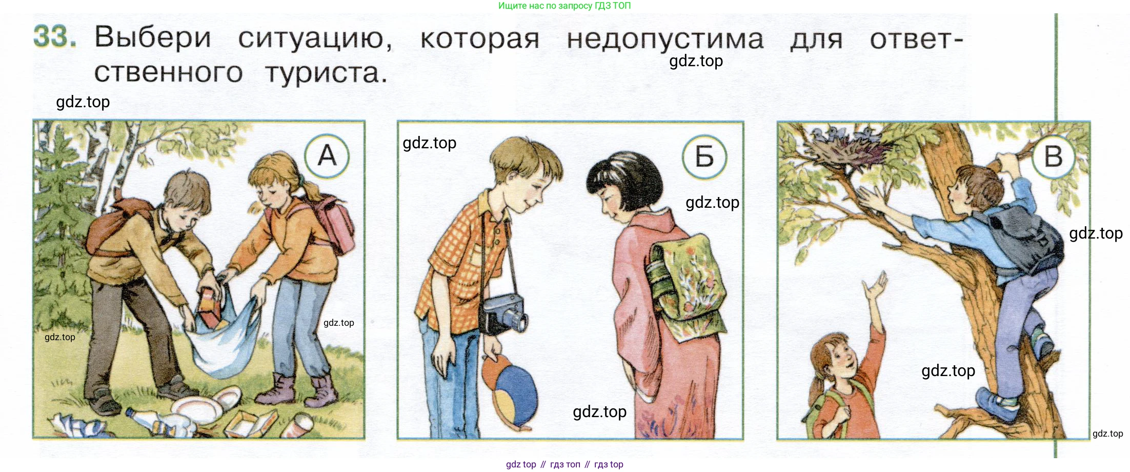 Окружающий мир, 3 класс Тесты, авторы: Плешаков Андрей Анатольевич, Новицкая Марина Юрьевна, Назарова З Д, издательство Просвещение, Москва, 2019, белого цвета, страница 13, номер 33, Условие