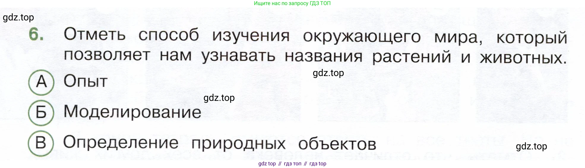 Окружающий мир, 3 класс Тесты, авторы: Плешаков Андрей Анатольевич, Новицкая Марина Юрьевна, Назарова З Д, издательство Просвещение, Москва, 2019, белого цвета, страница 4, номер 6, Условие