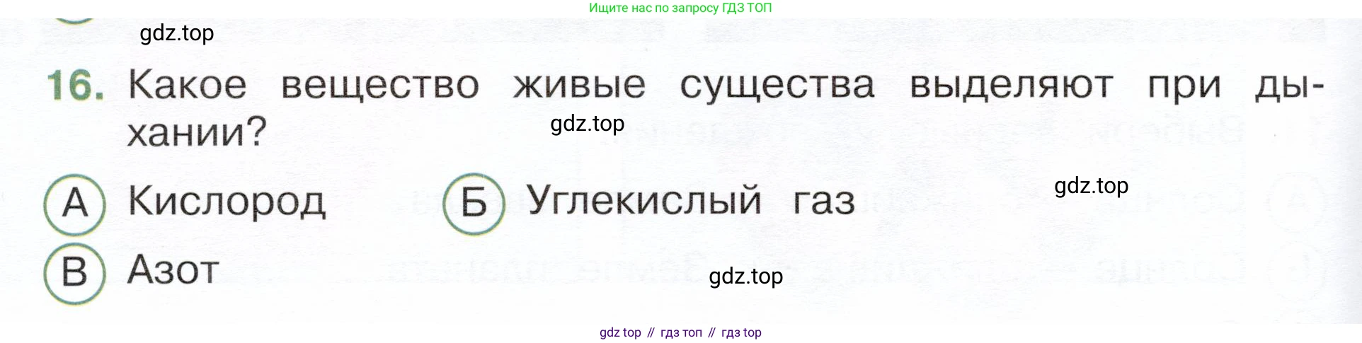 Окружающий мир, 3 класс Тесты, авторы: Плешаков Андрей Анатольевич, Новицкая Марина Юрьевна, Назарова З Д, издательство Просвещение, Москва, 2019, белого цвета, страница 20, номер 16, Условие