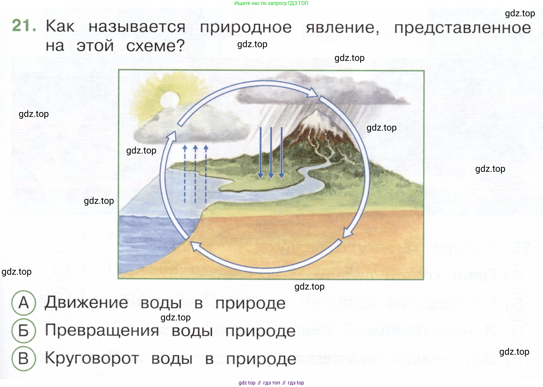 Окружающий мир, 3 класс Тесты, авторы: Плешаков Андрей Анатольевич, Новицкая Марина Юрьевна, Назарова З Д, издательство Просвещение, Москва, 2019, белого цвета, страница 21, номер 21, Условие