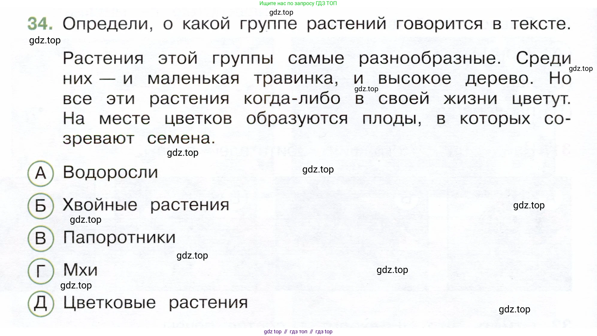 Окружающий мир, 3 класс Тесты, авторы: Плешаков Андрей Анатольевич, Новицкая Марина Юрьевна, Назарова З Д, издательство Просвещение, Москва, 2019, белого цвета, страница 26, номер 34, Условие