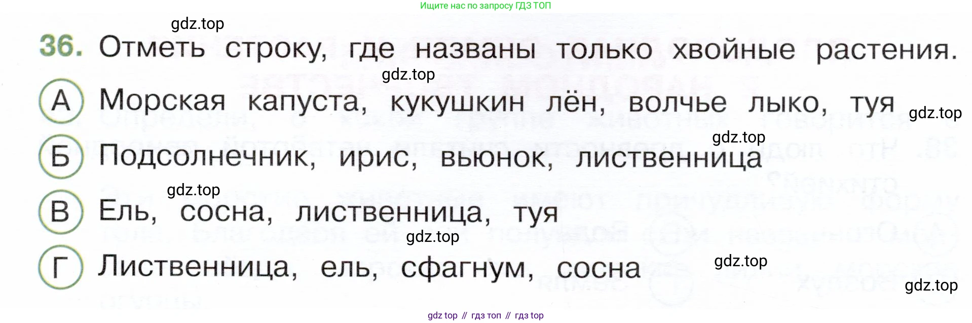 Окружающий мир, 3 класс Тесты, авторы: Плешаков Андрей Анатольевич, Новицкая Марина Юрьевна, Назарова З Д, издательство Просвещение, Москва, 2019, белого цвета, страница 27, номер 36, Условие