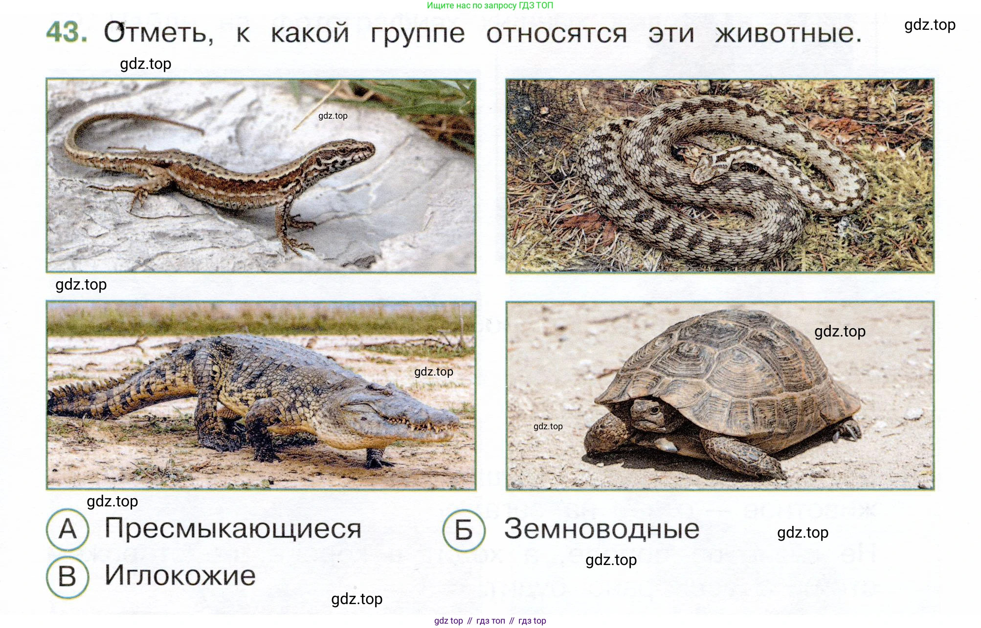 Окружающий мир, 3 класс Тесты, авторы: Плешаков Андрей Анатольевич, Новицкая Марина Юрьевна, Назарова З Д, издательство Просвещение, Москва, 2019, белого цвета, страница 29, номер 43, Условие