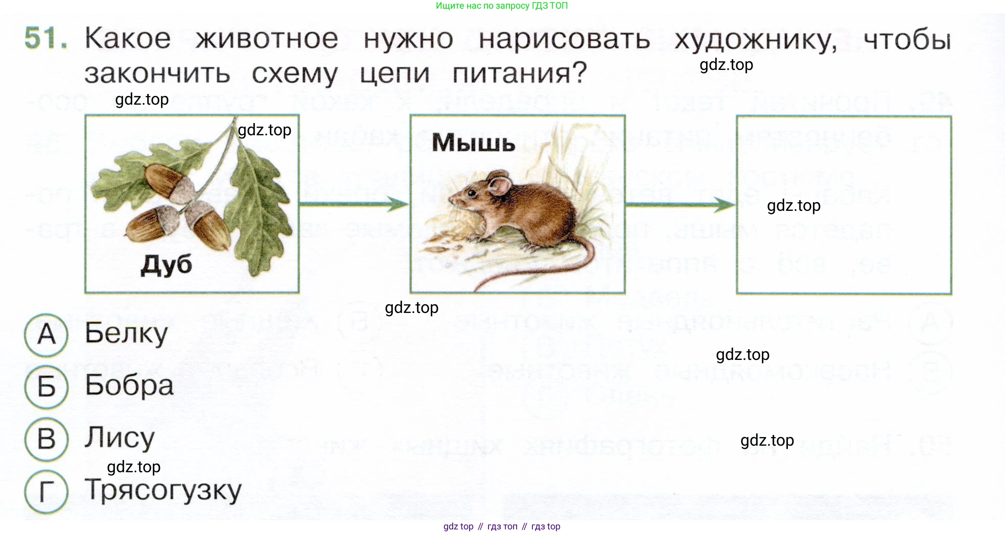 Окружающий мир, 3 класс Тесты, авторы: Плешаков Андрей Анатольевич, Новицкая Марина Юрьевна, Назарова З Д, издательство Просвещение, Москва, 2019, белого цвета, страница 32, номер 51, Условие