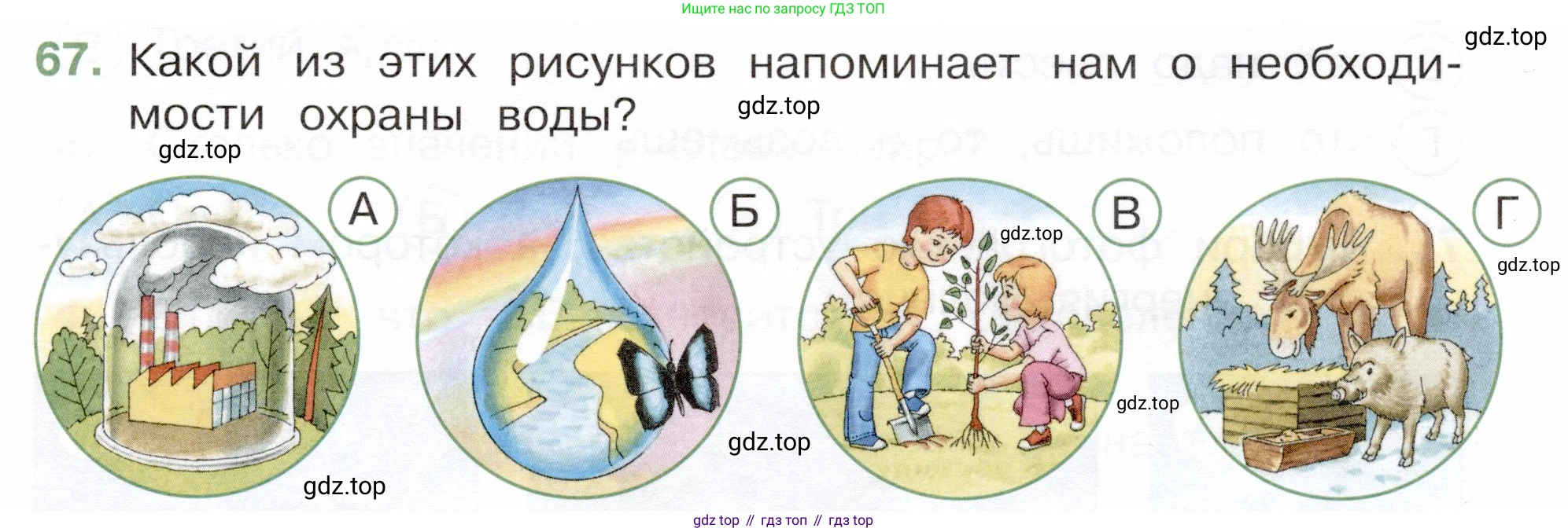 Окружающий мир, 3 класс Тесты, авторы: Плешаков Андрей Анатольевич, Новицкая Марина Юрьевна, Назарова З Д, издательство Просвещение, Москва, 2019, белого цвета, страница 39, номер 67, Условие