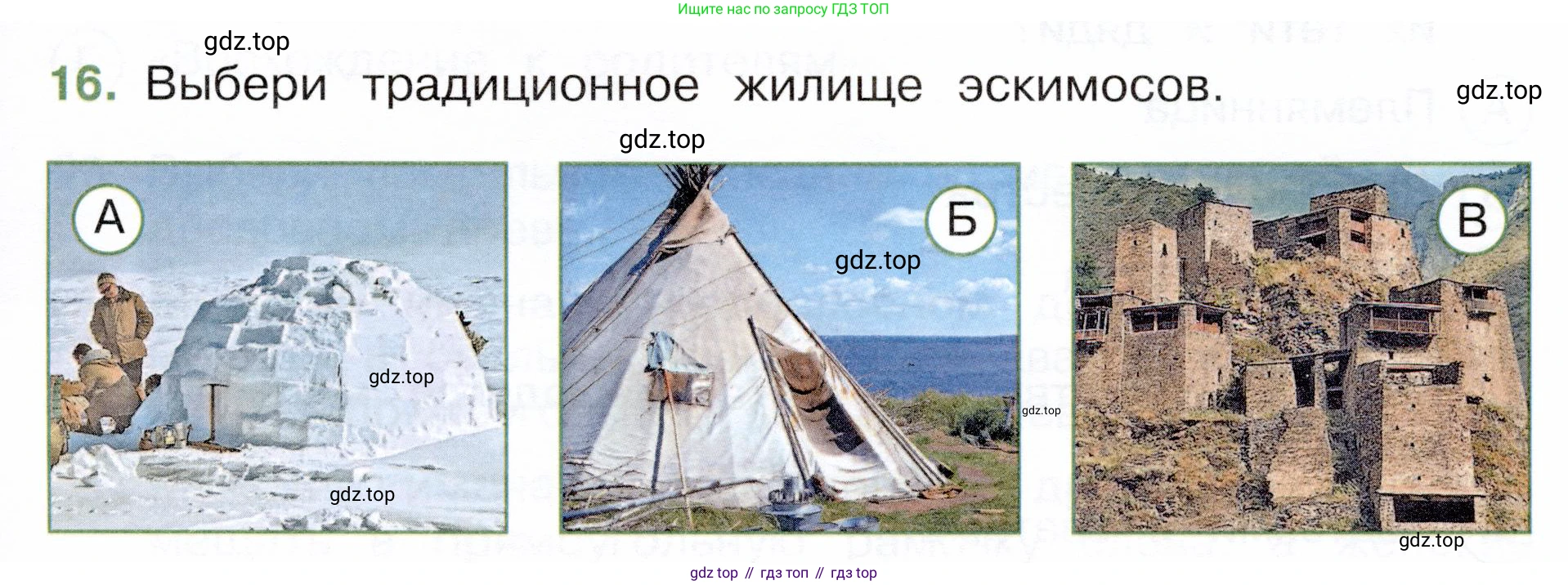 Окружающий мир, 3 класс Тесты, авторы: Плешаков Андрей Анатольевич, Новицкая Марина Юрьевна, Назарова З Д, издательство Просвещение, Москва, 2019, белого цвета, страница 45, номер 16, Условие