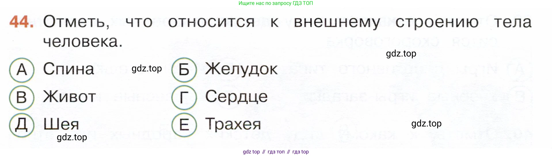 Окружающий мир, 3 класс Тесты, авторы: Плешаков Андрей Анатольевич, Новицкая Марина Юрьевна, Назарова З Д, издательство Просвещение, Москва, 2019, белого цвета, страница 52, номер 44, Условие